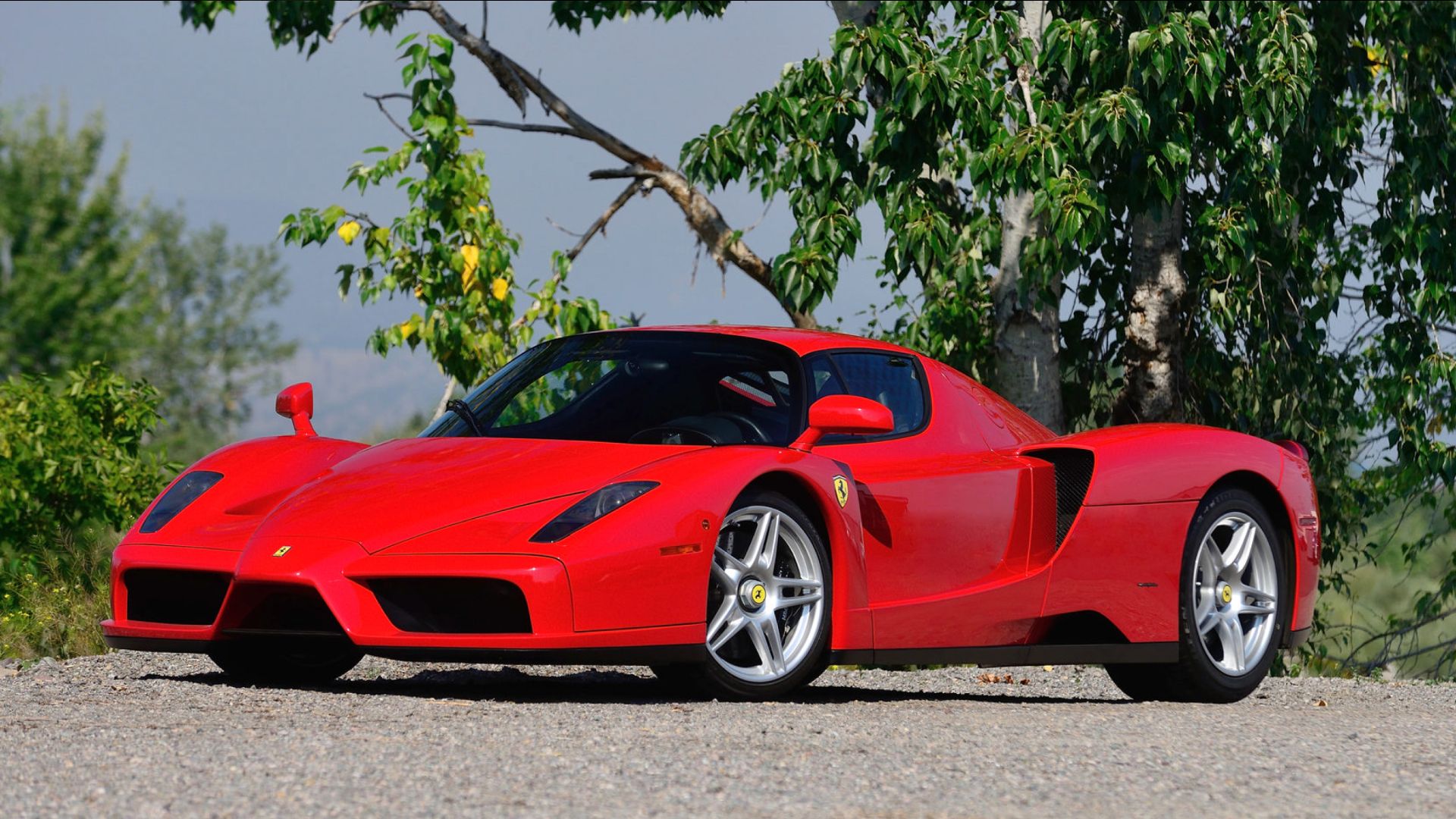 Ferrari Enzo | TopSpeed