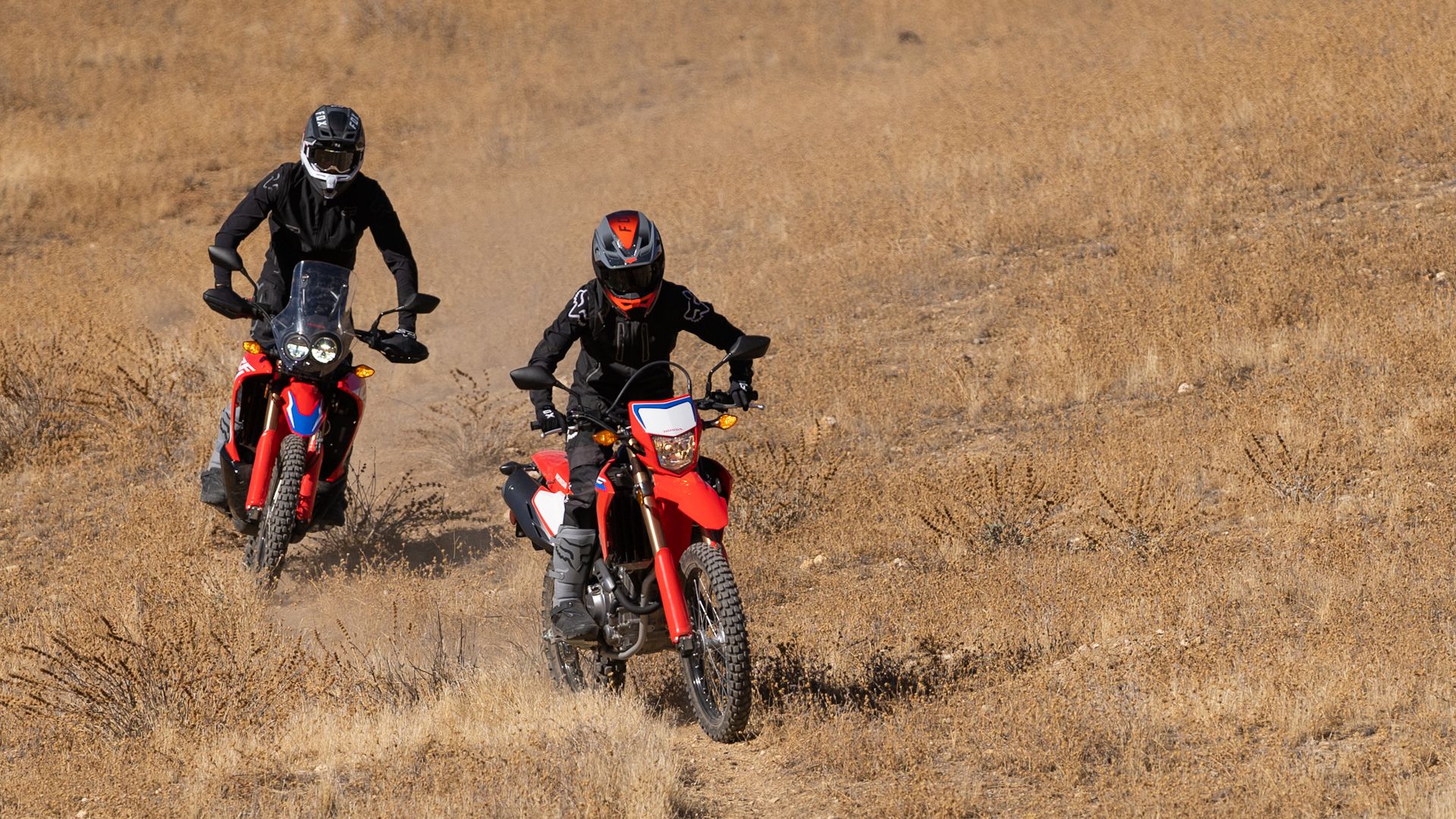 Red 2021 Honda CRF300L and CRF300L Rally crossing a field