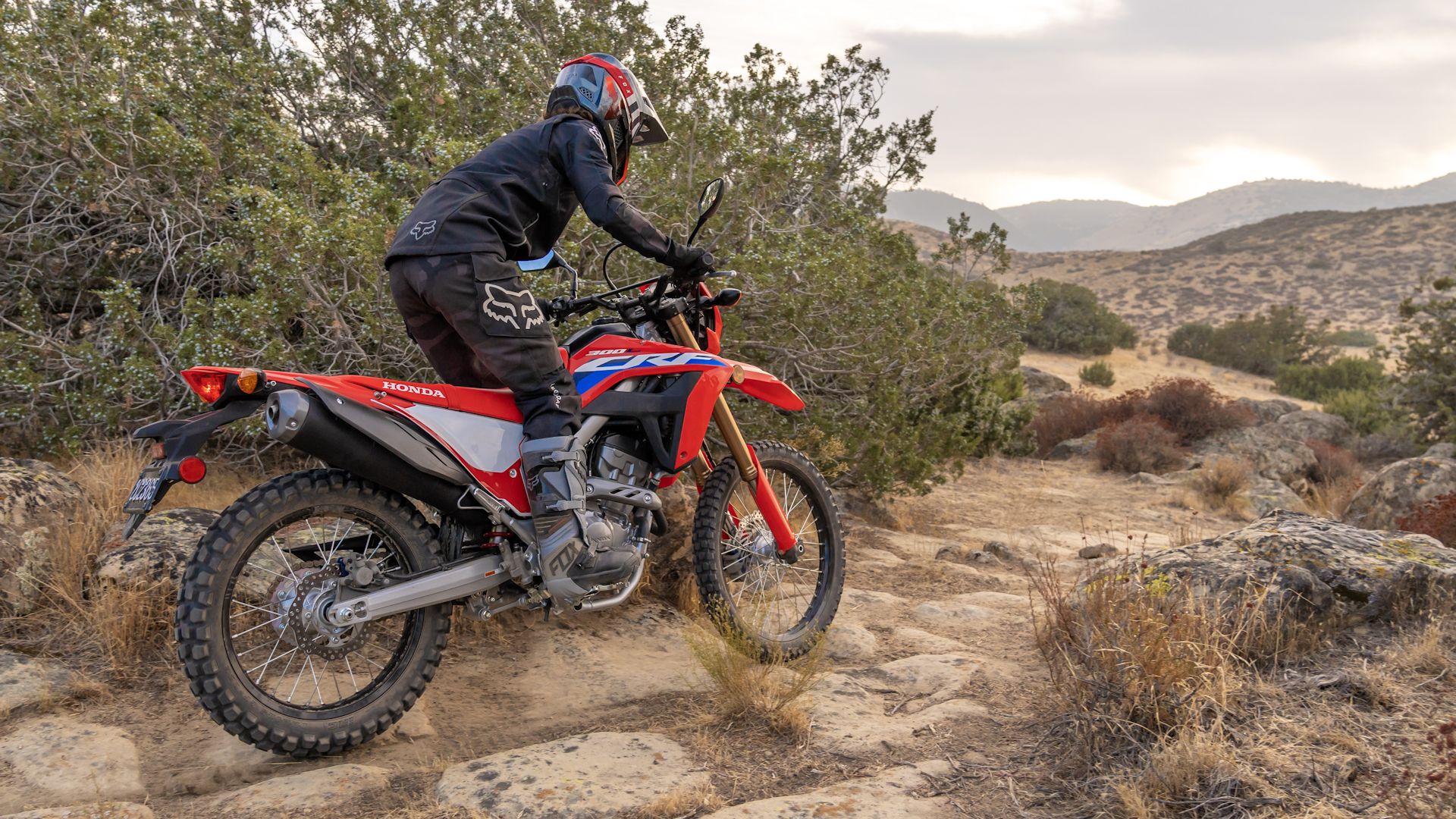 Red 2021 Honda CRF300L Rally on a trail