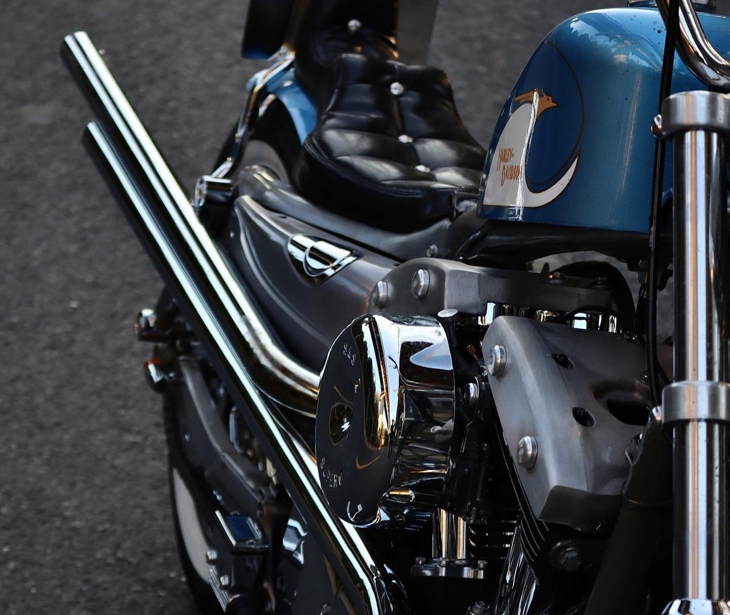 Custom Harley-Davidson Sportster Looks Mesmerizing In Its