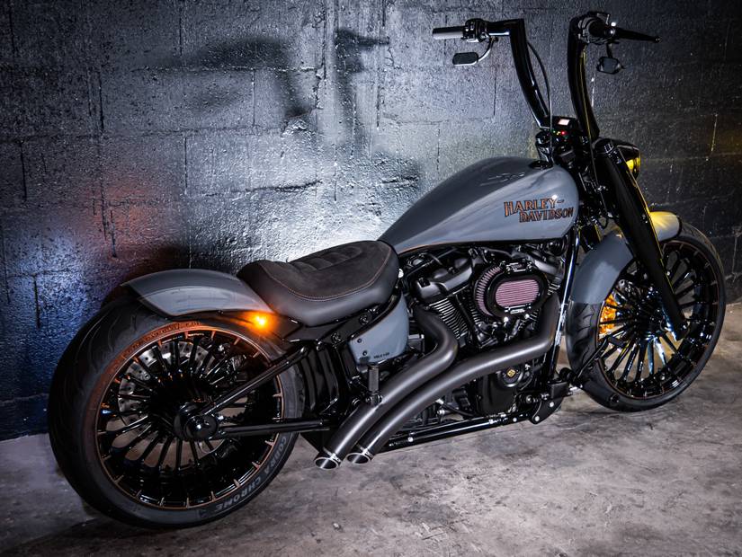 Custom Harley-Davidson Fat Boy Looks Ravishing In Its French Guise