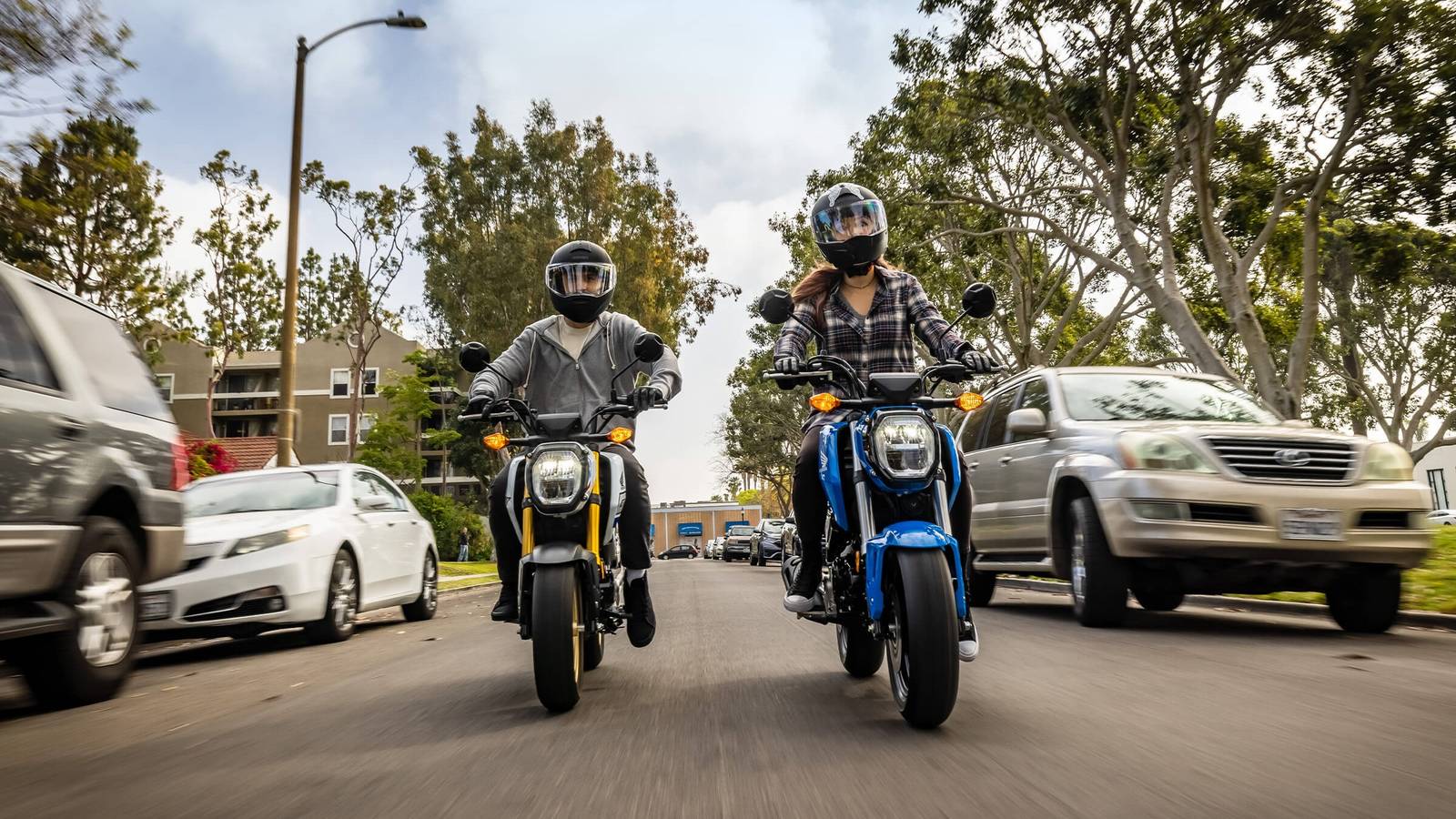 Every Honda Mini Moto Bike, Ranked By Power