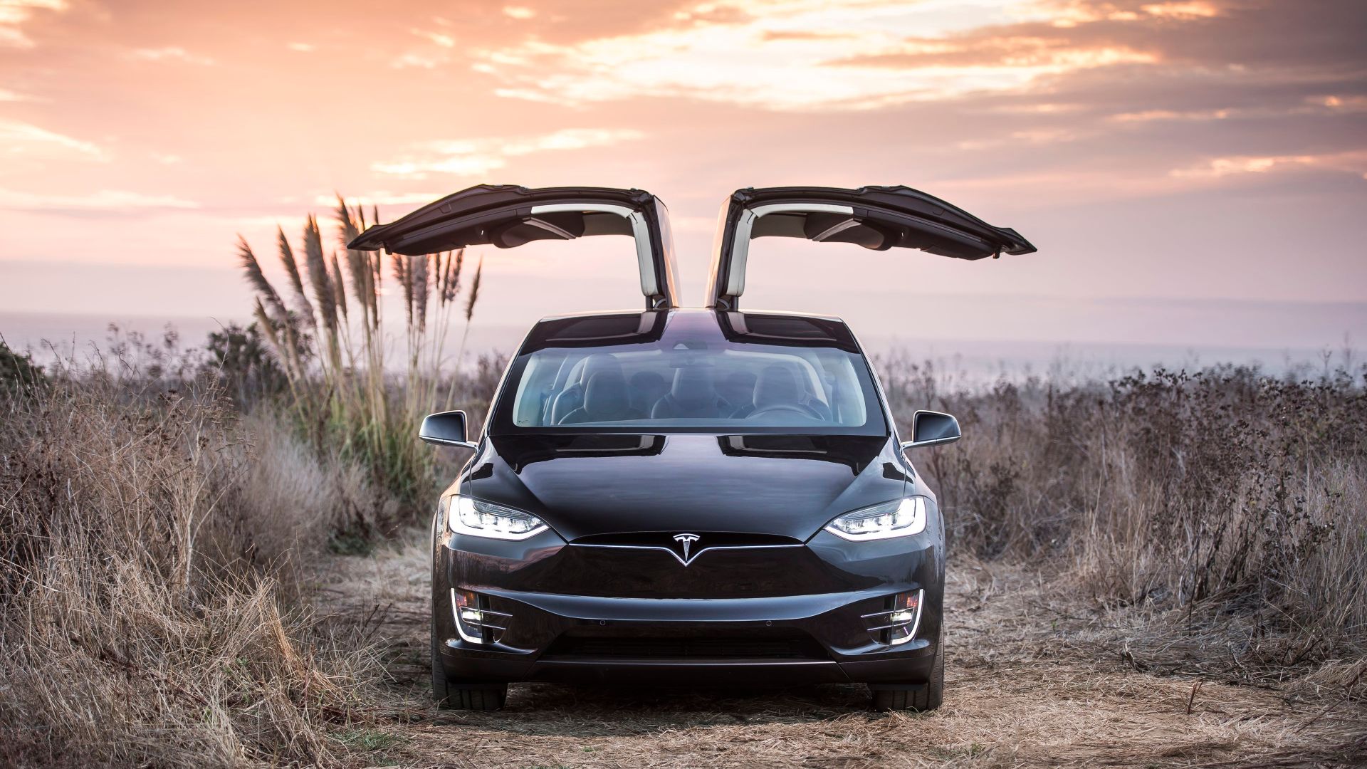 Model x on sale consumer reports