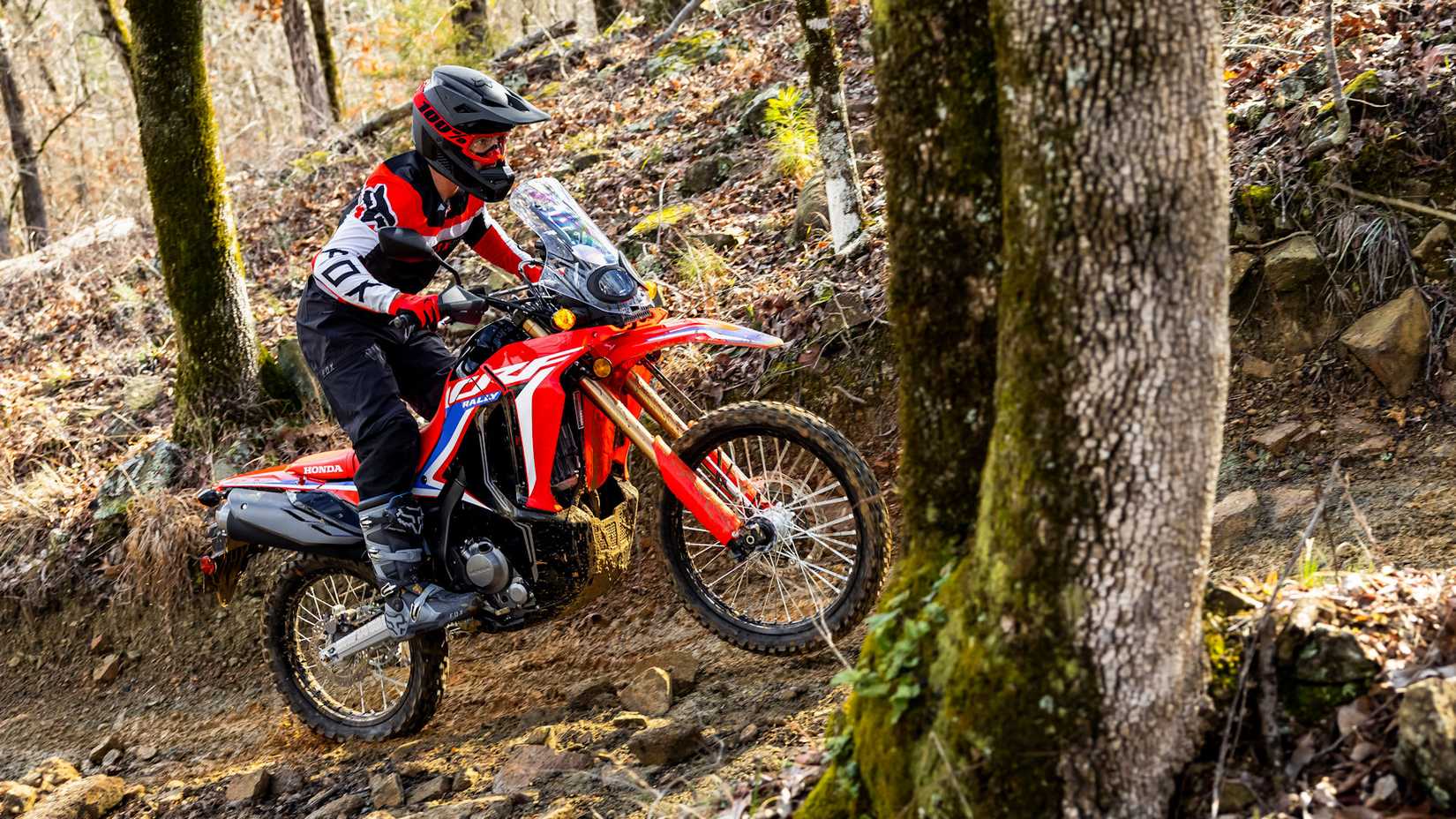 Red 2023 Honda CRF300L Rally on a trail in the woods