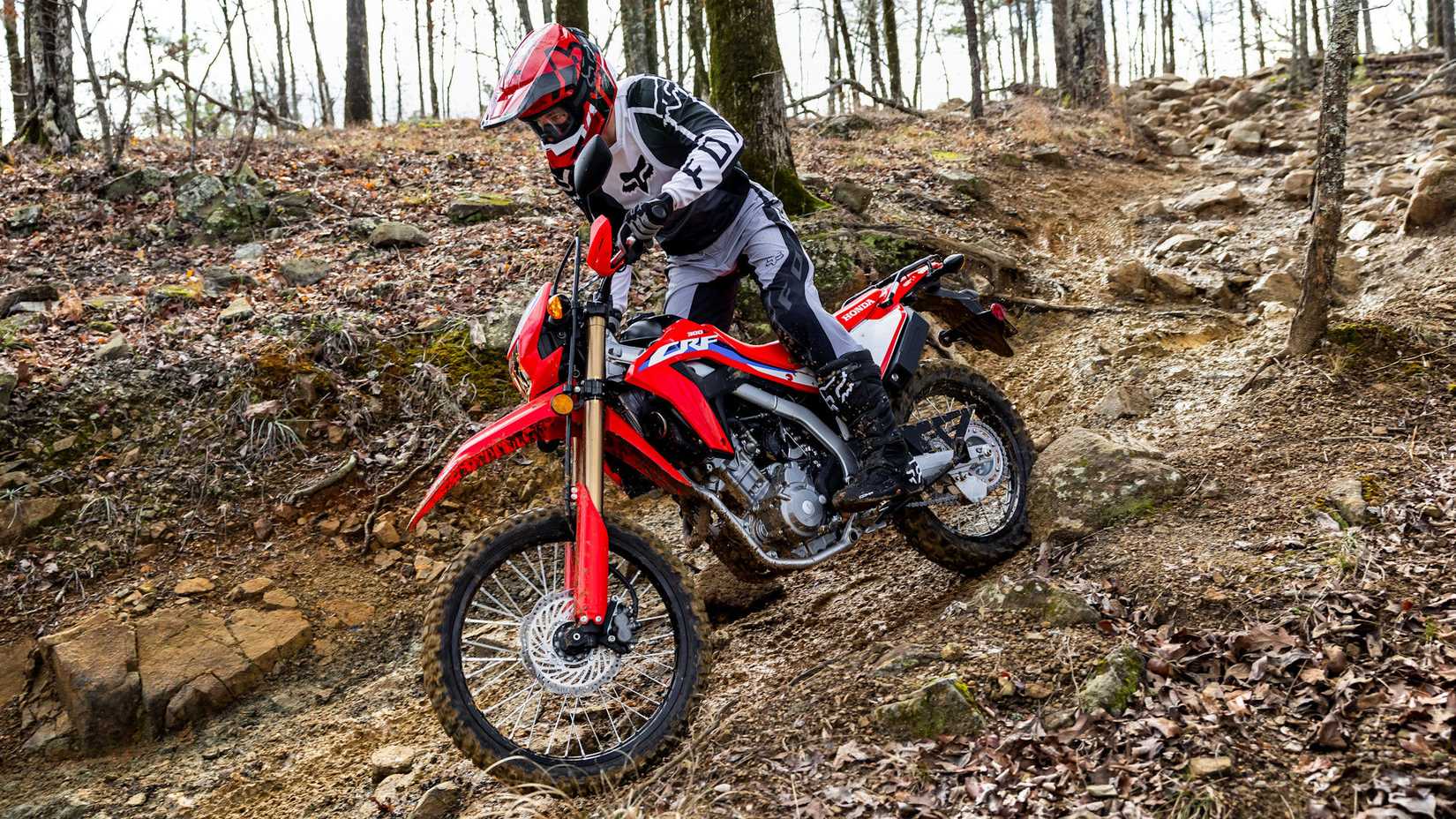 Honda CRF300L vermelha descendo uma trilha na floresta
