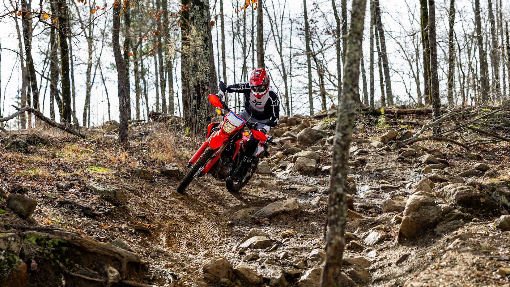 Honda CRF300L vermelha 2023 desbravando na floresta