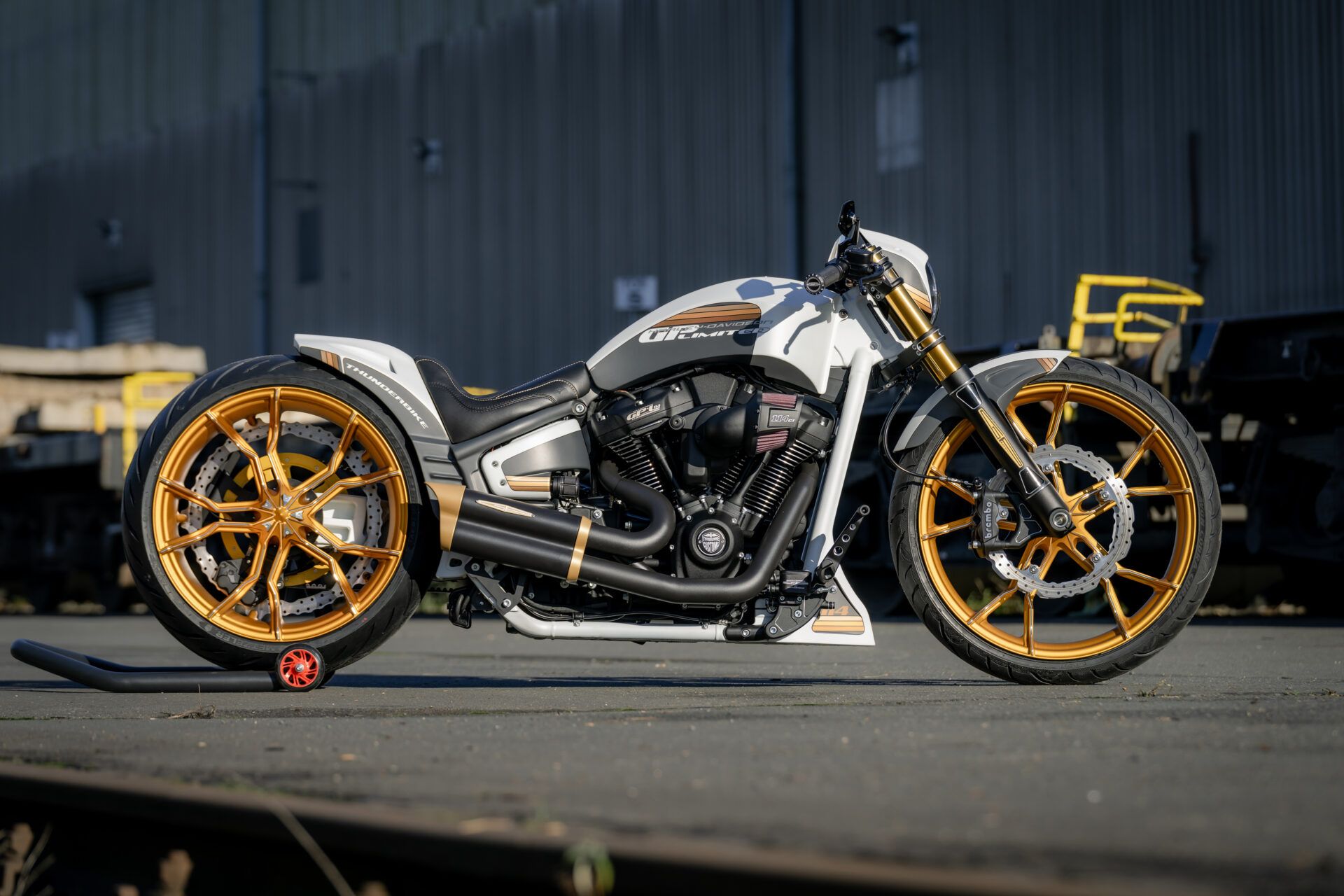 German-Built Harley-Davidson Breakout Has So Much Gold, It