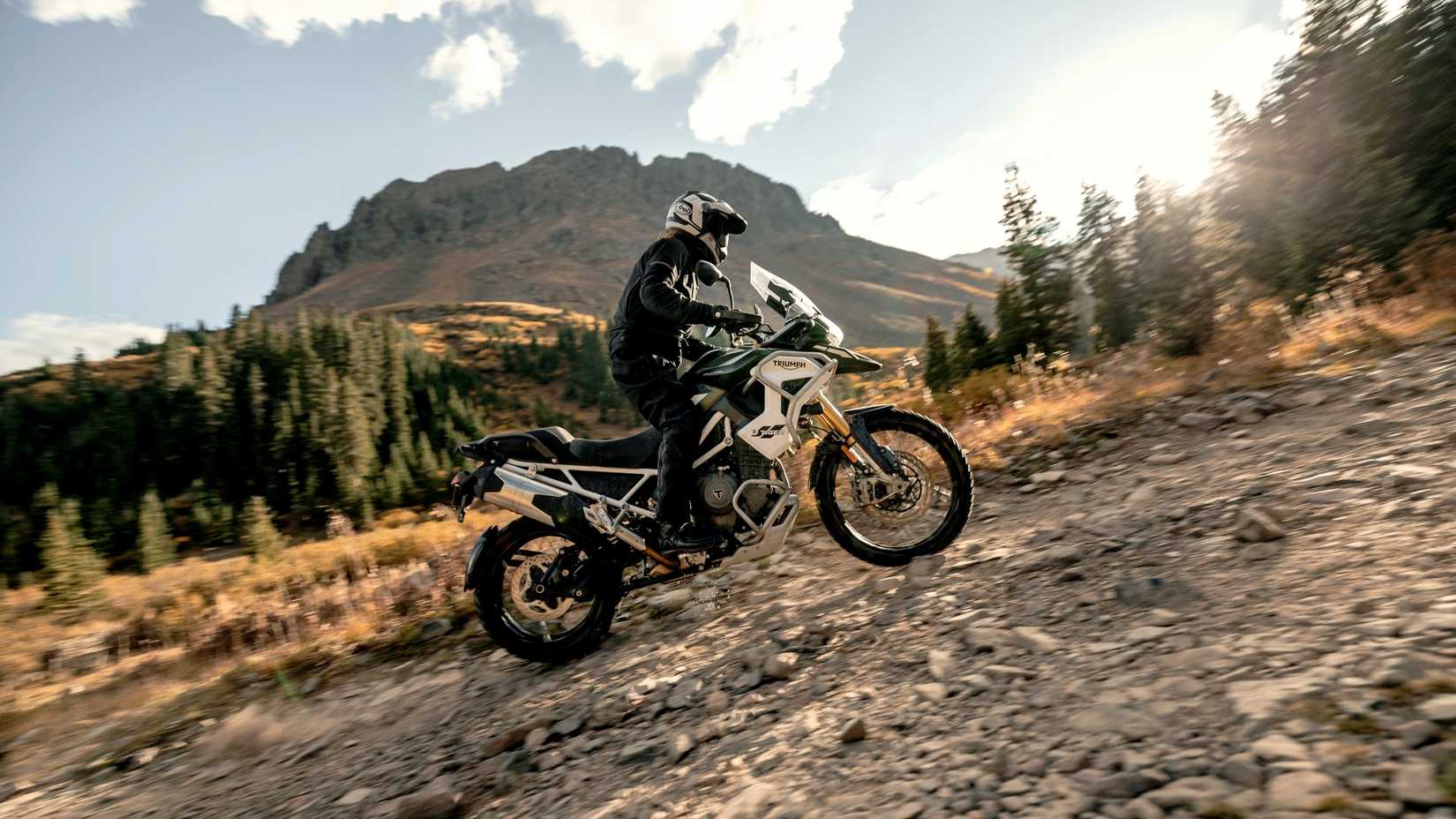 Triumph Tiger 1200 Rally Pro