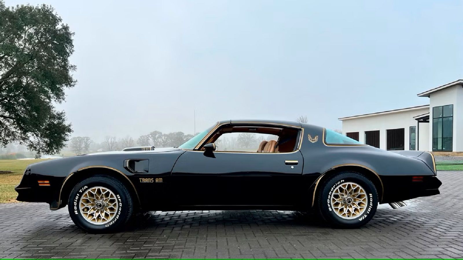Why the Second-Generation Pontiac Firebird Trans Am Was The Ultimate ...