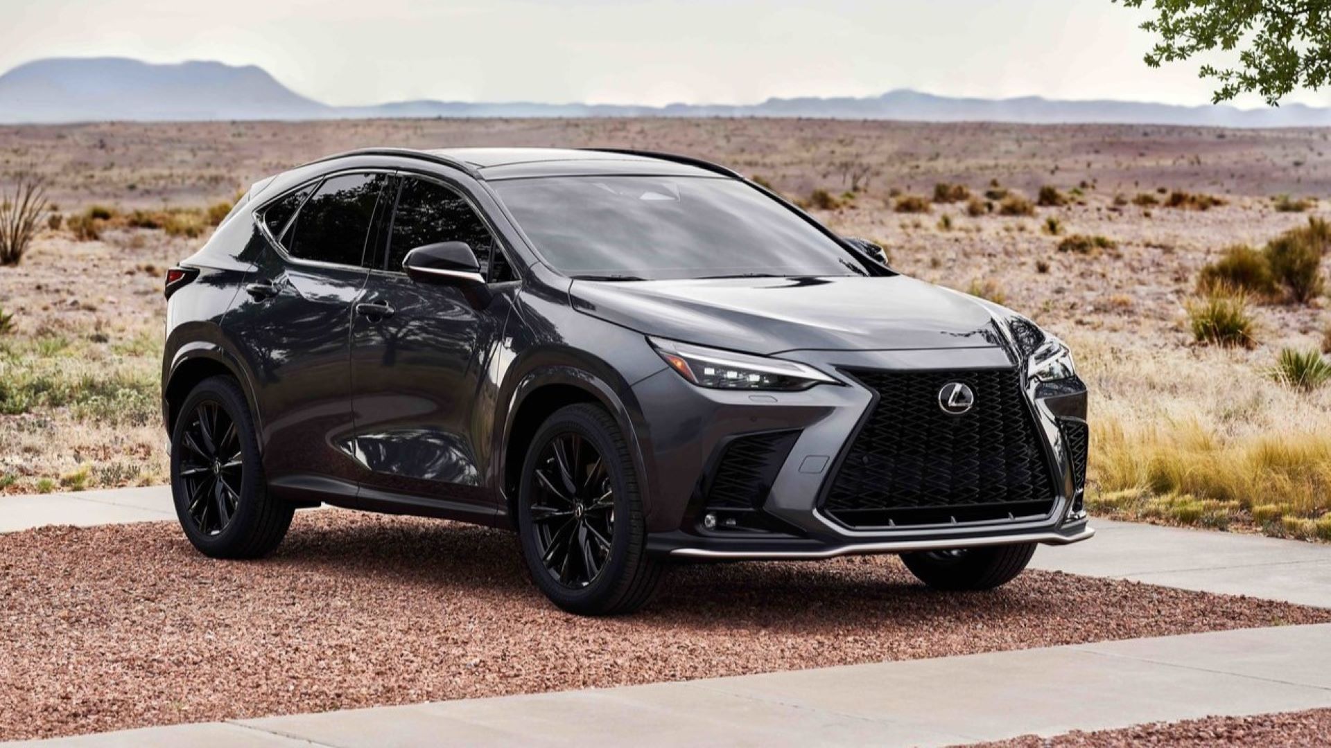 5 Reasons To Buy The Lexus NX Hybrid (And, 5 Reasons Why You