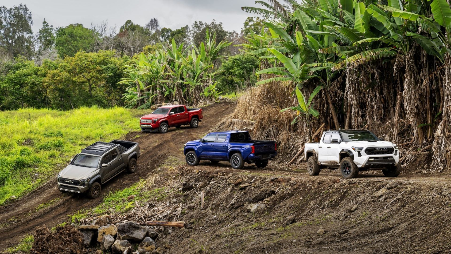 Four Different 2024 Toyota Tacoma Trims on a hillside