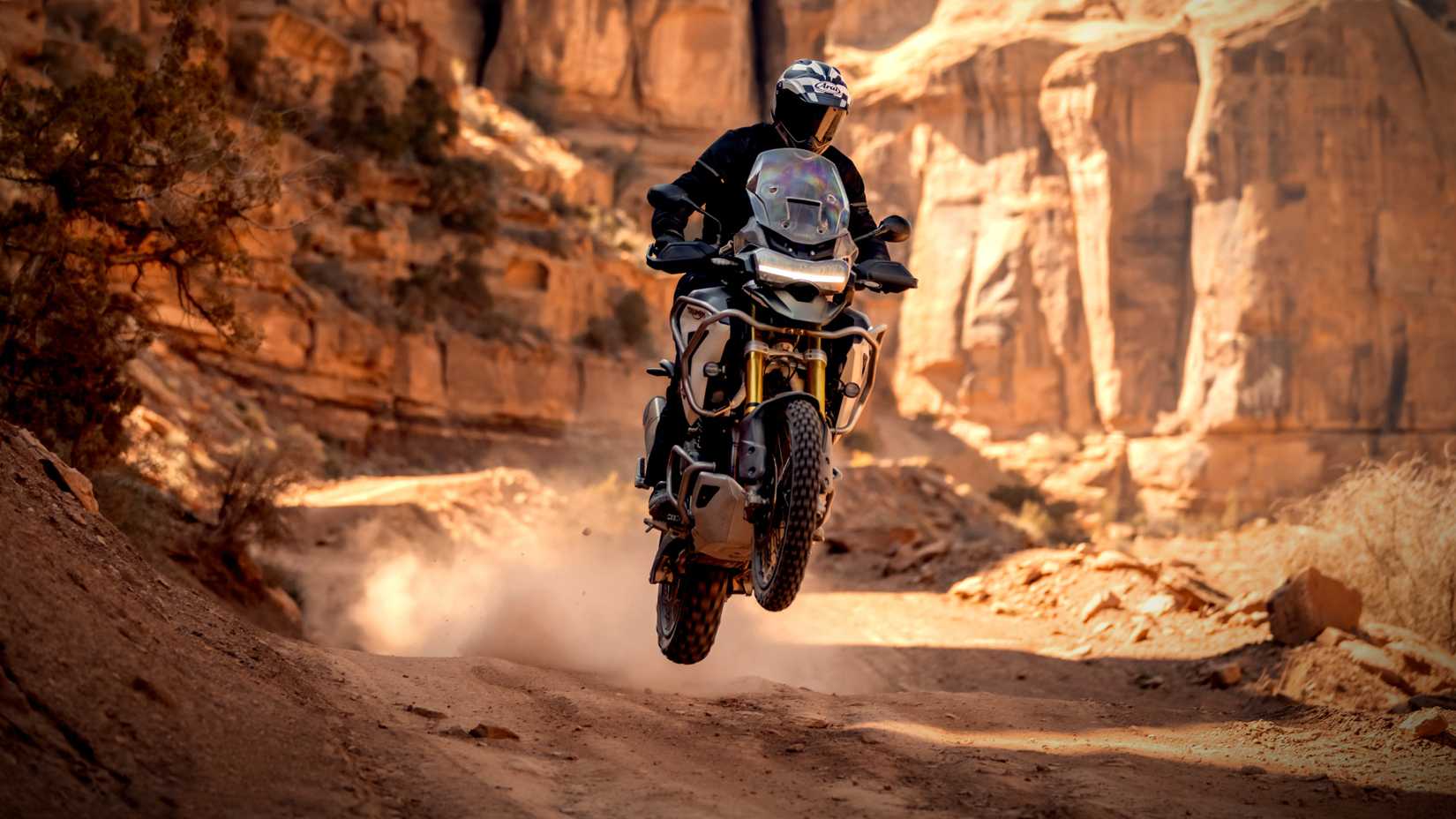 2022 Triumph Tiger 1200 Rally Pro Jump