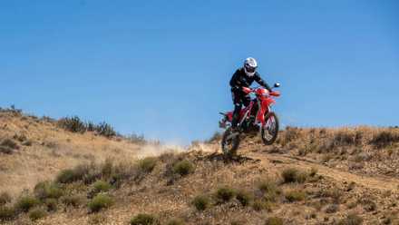 2024-crf450rl