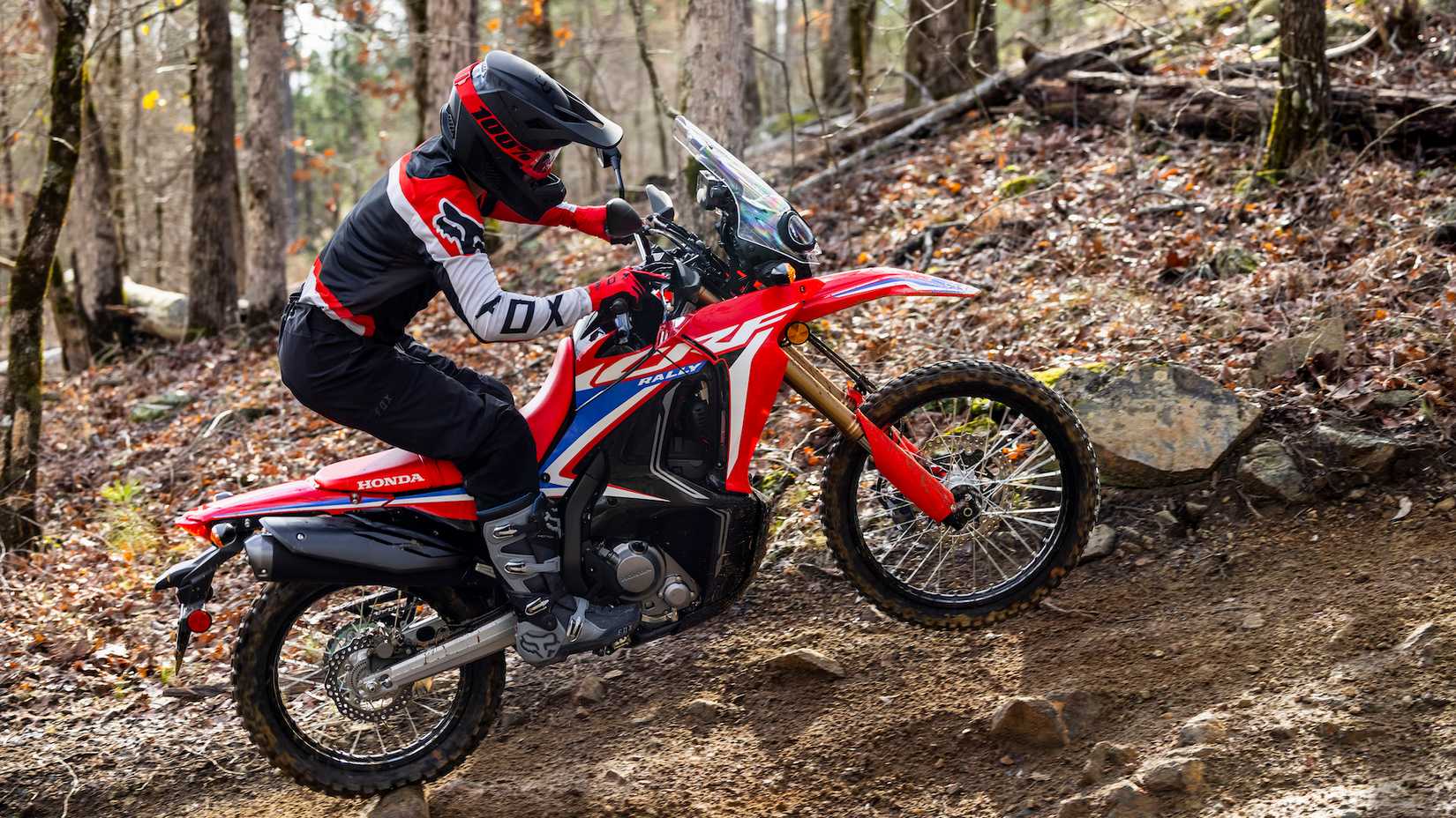 2023 Honda CRF300L Rally