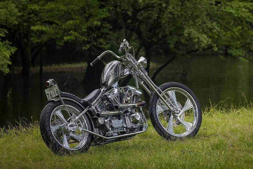 This Custom Harley-Davidson Sportster Will Enchant You With Serious ...