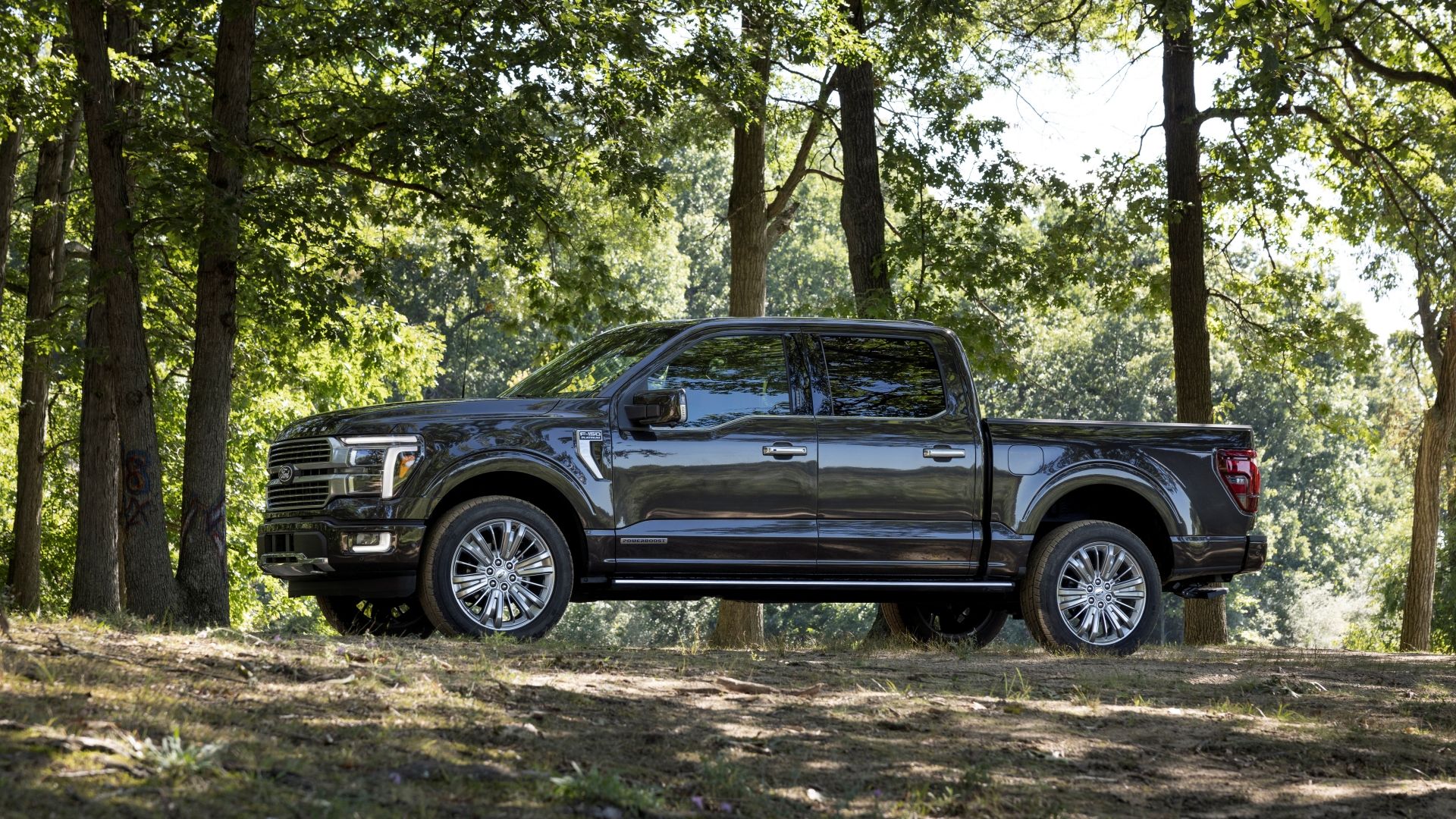 Uma foto externa lateral esquerda do Ford F-150 Platinum 2024