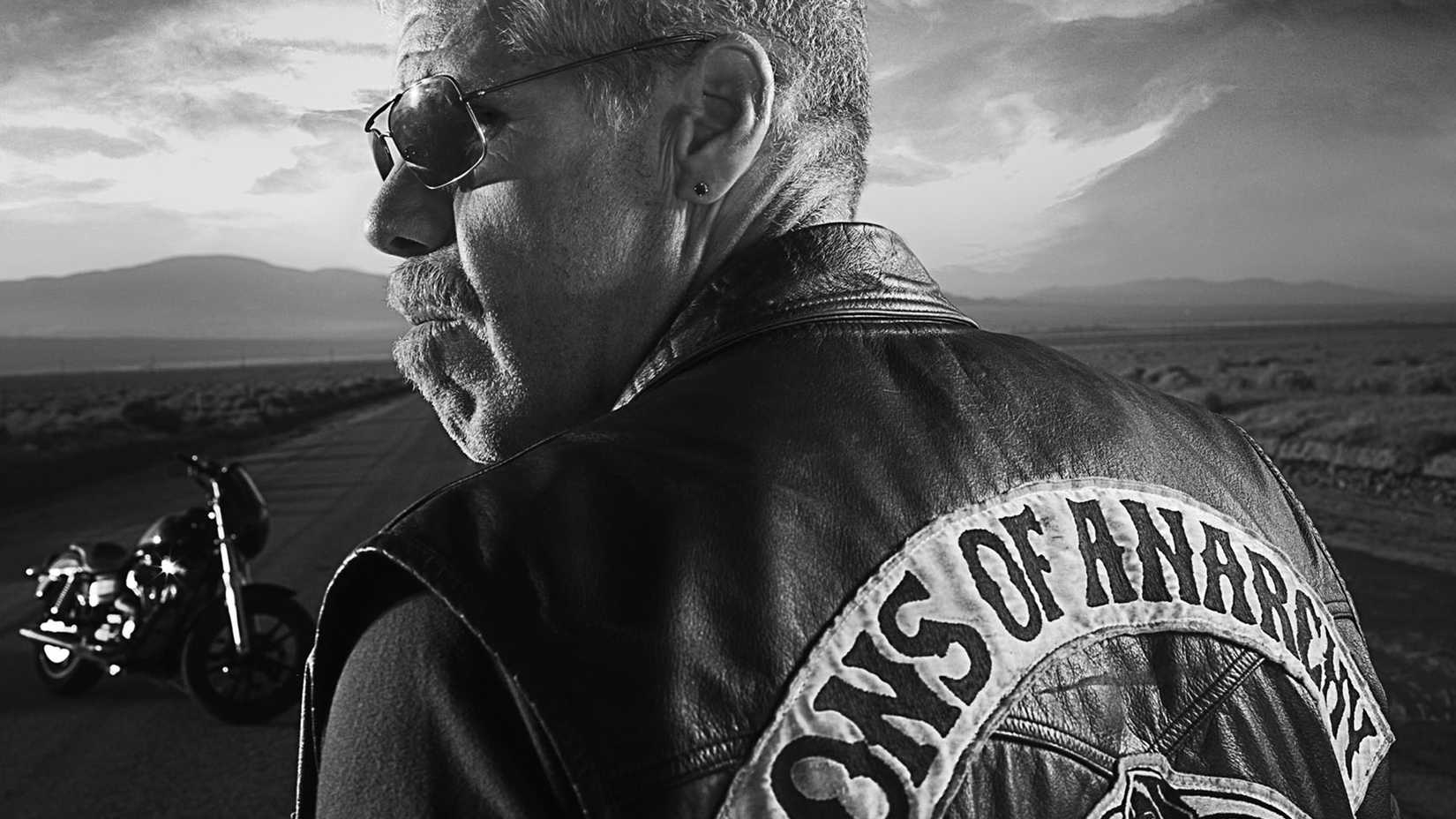 Closeup of biker's back, looking left in sunglasses with motorcycle in background.