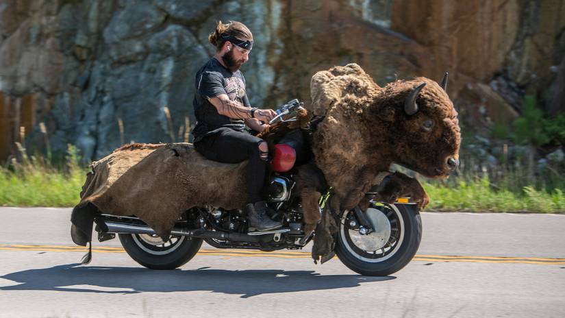 10 Of The Best Motorcycle Destinations Around The World