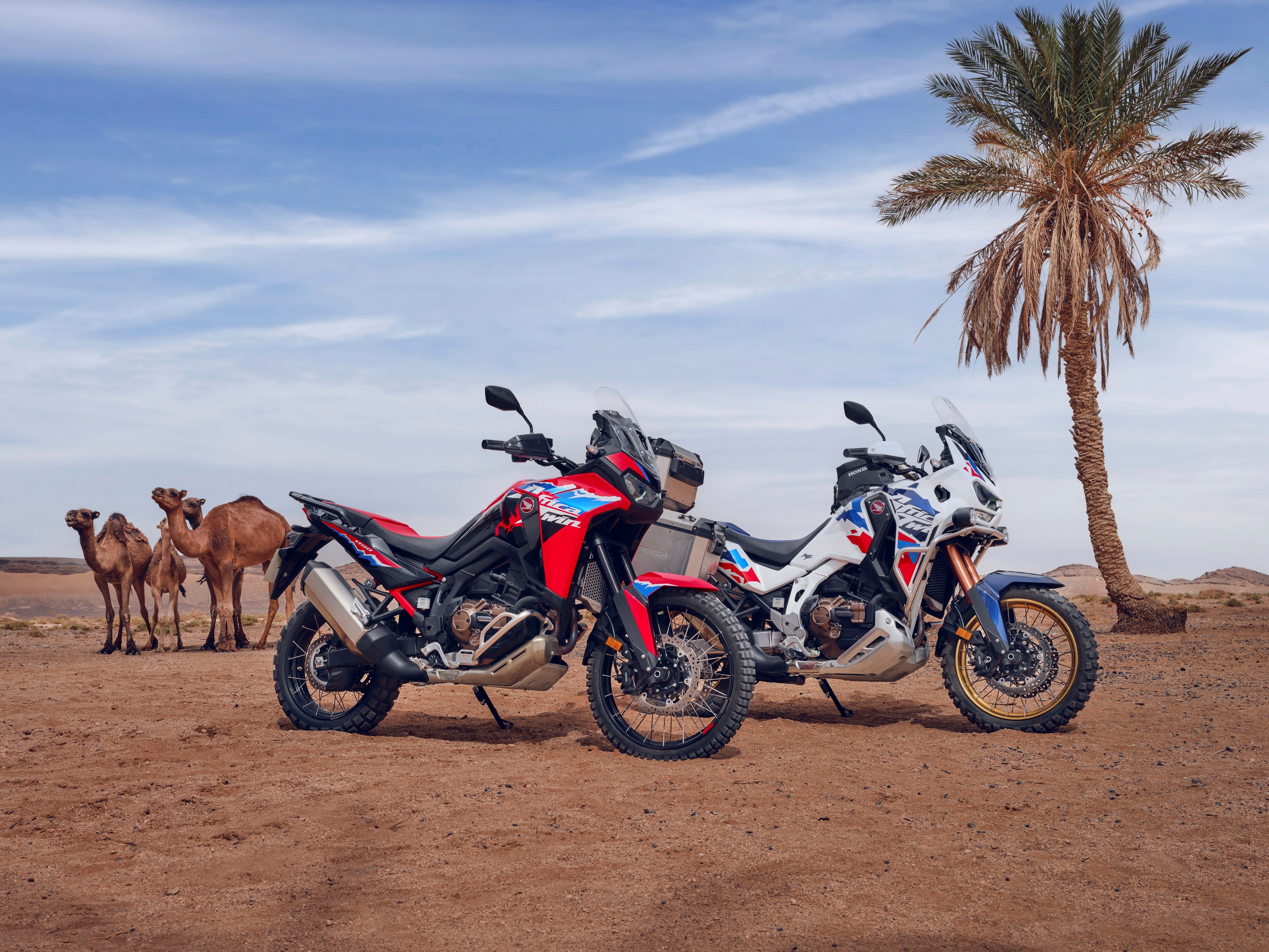 2024 Honda Africa Twin Launched America; Undercuts The