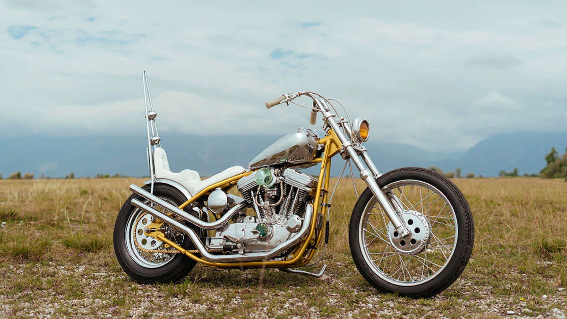 10 Harley-Davidson Bikes From The 90s That Are Worth Buying Today
