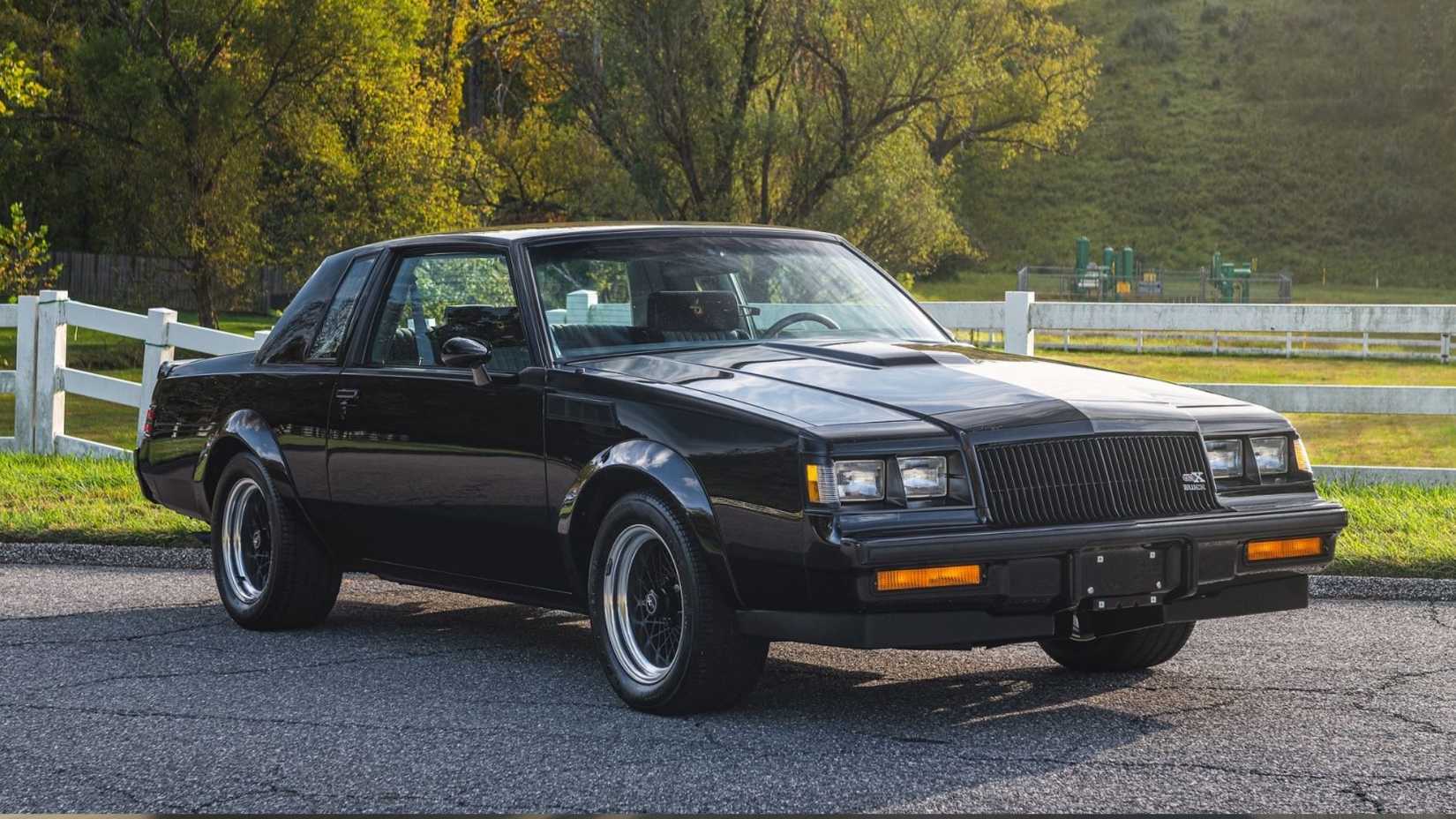 1987 Buick Regal Grand National GNX in black posing on country road