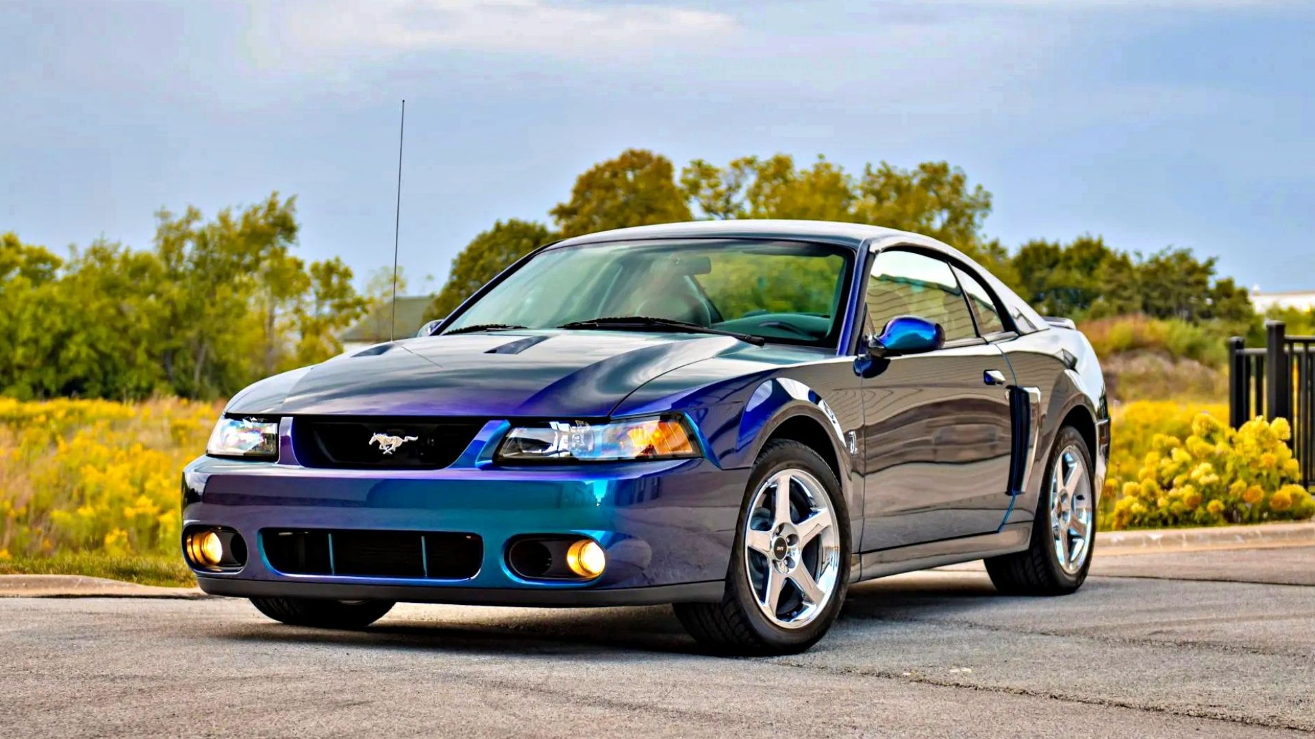 Mystichrome 2004 Ford Mustang SVT Terminator Cobra 