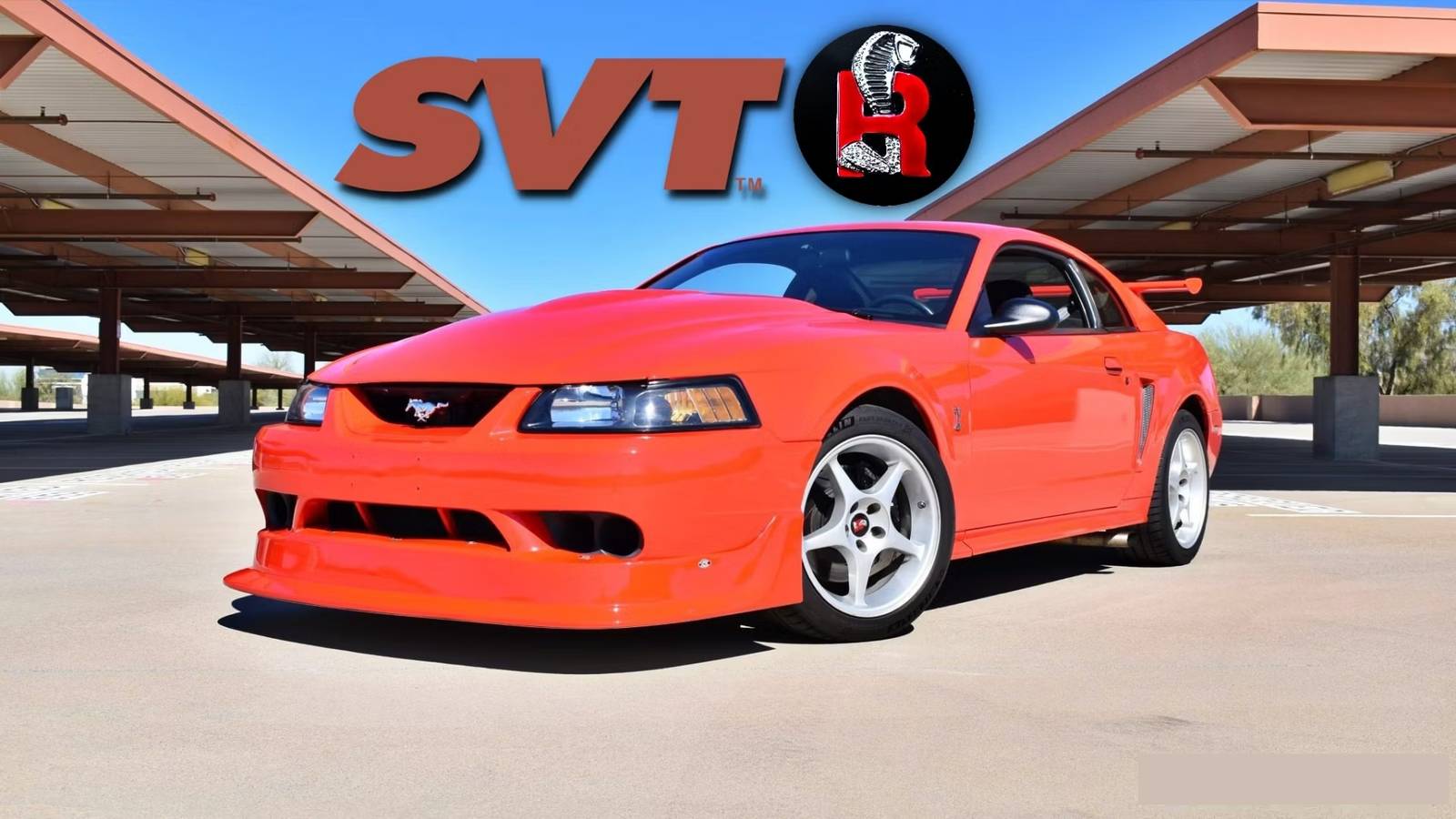 The Real Story Behind The Production Of The 2000 Ford Mustang SVT
