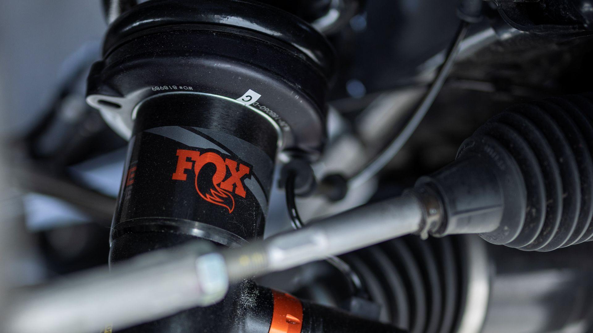 Ford Refuses To Build Boring 'Toasters On Wheels'