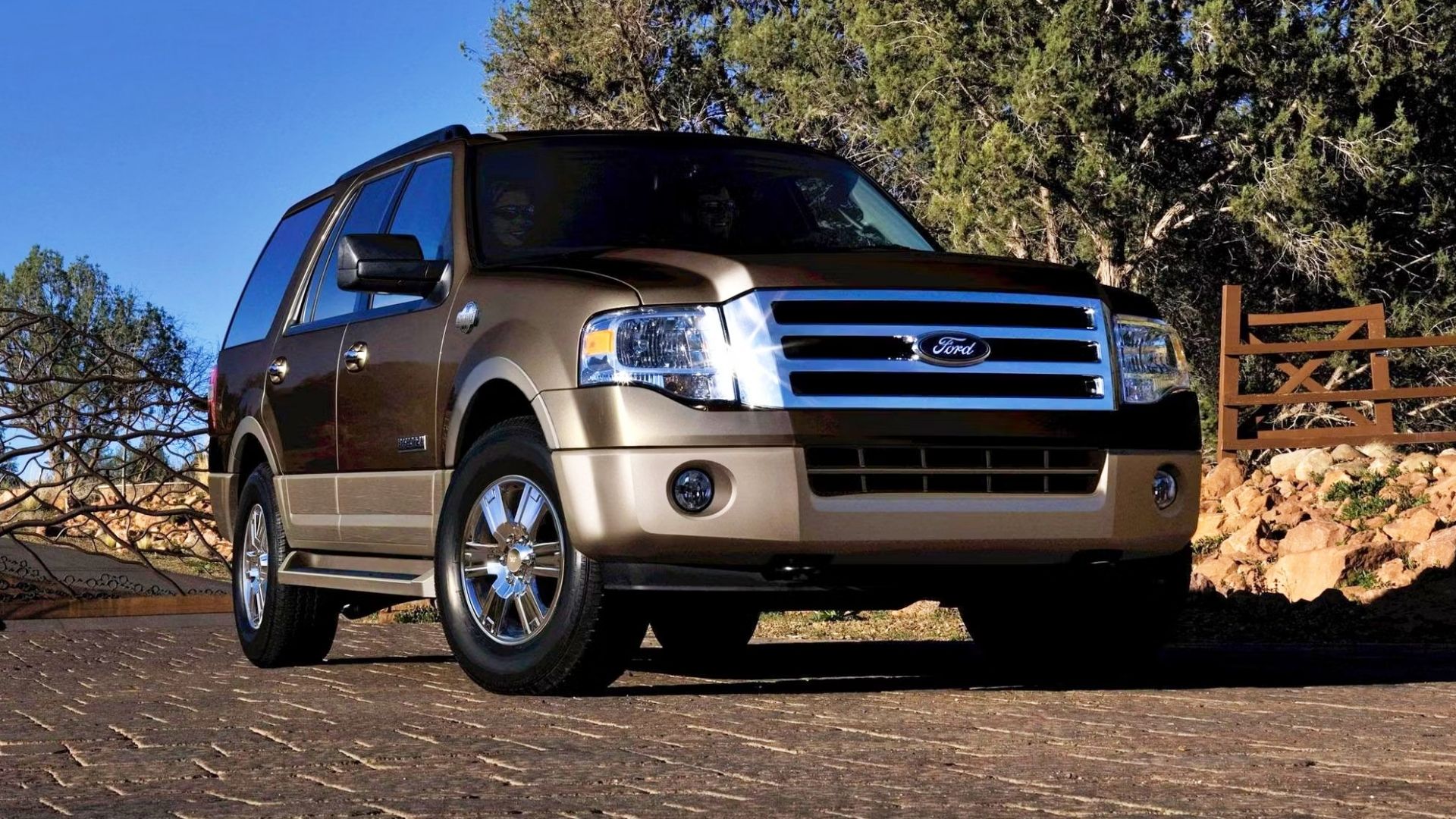 Gray 2008 Ford Expedition