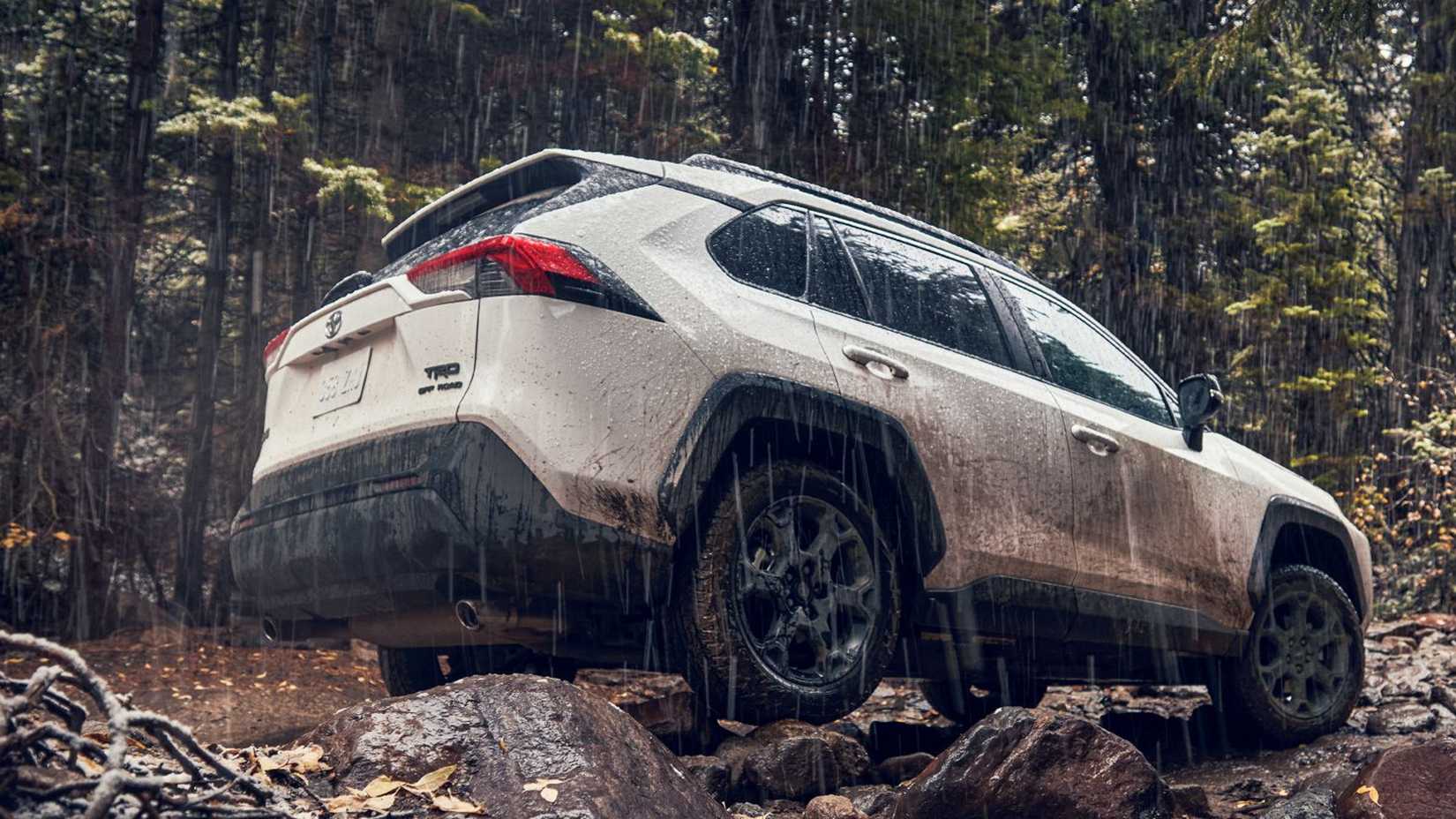 Uma foto do Toyota RAV4 Hybrid 2024 em uma floresta durante a chuva