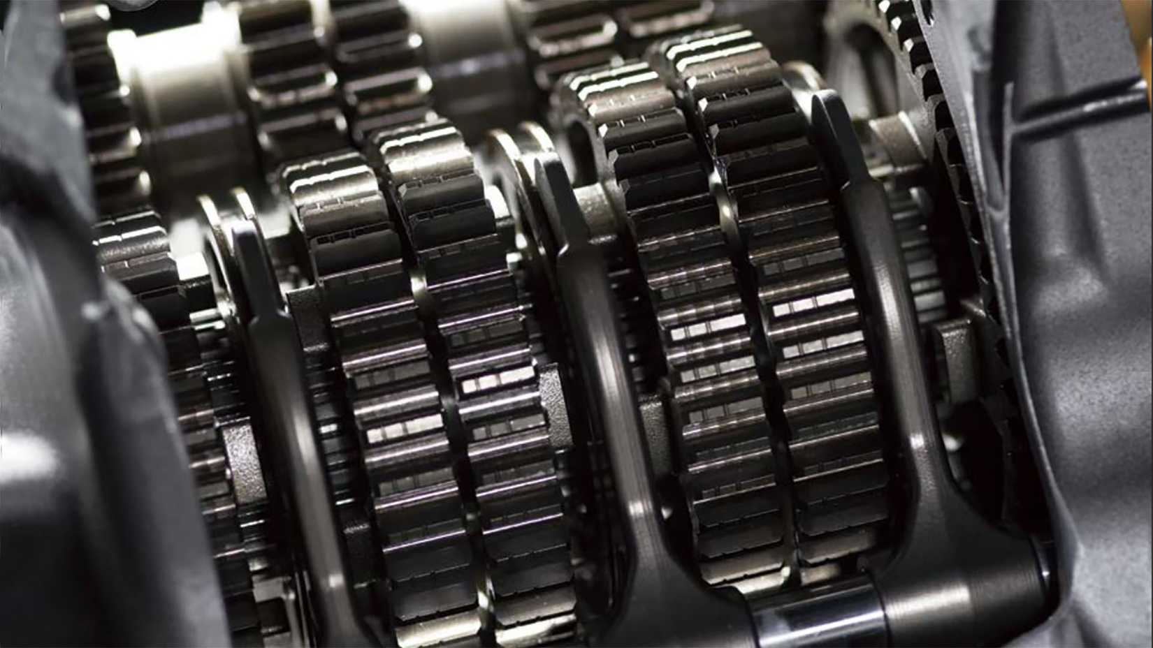 Transmissão de engrenagem anelar para cães