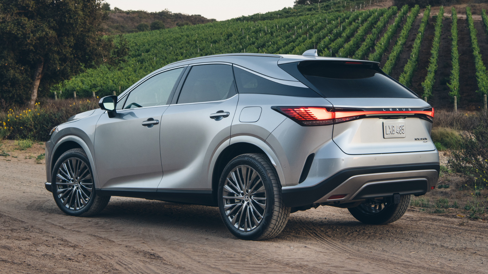 2024 Lexus RX Hybrid rear view parked by vineyard