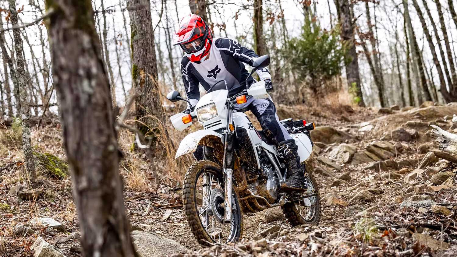 Nonda Rider How The Sleeper Honda XR650L Offers The Best Bang For Your Buck