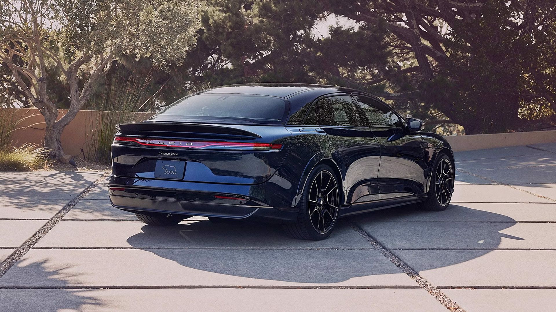 Who Owns Lucid Motors And How The Company Started