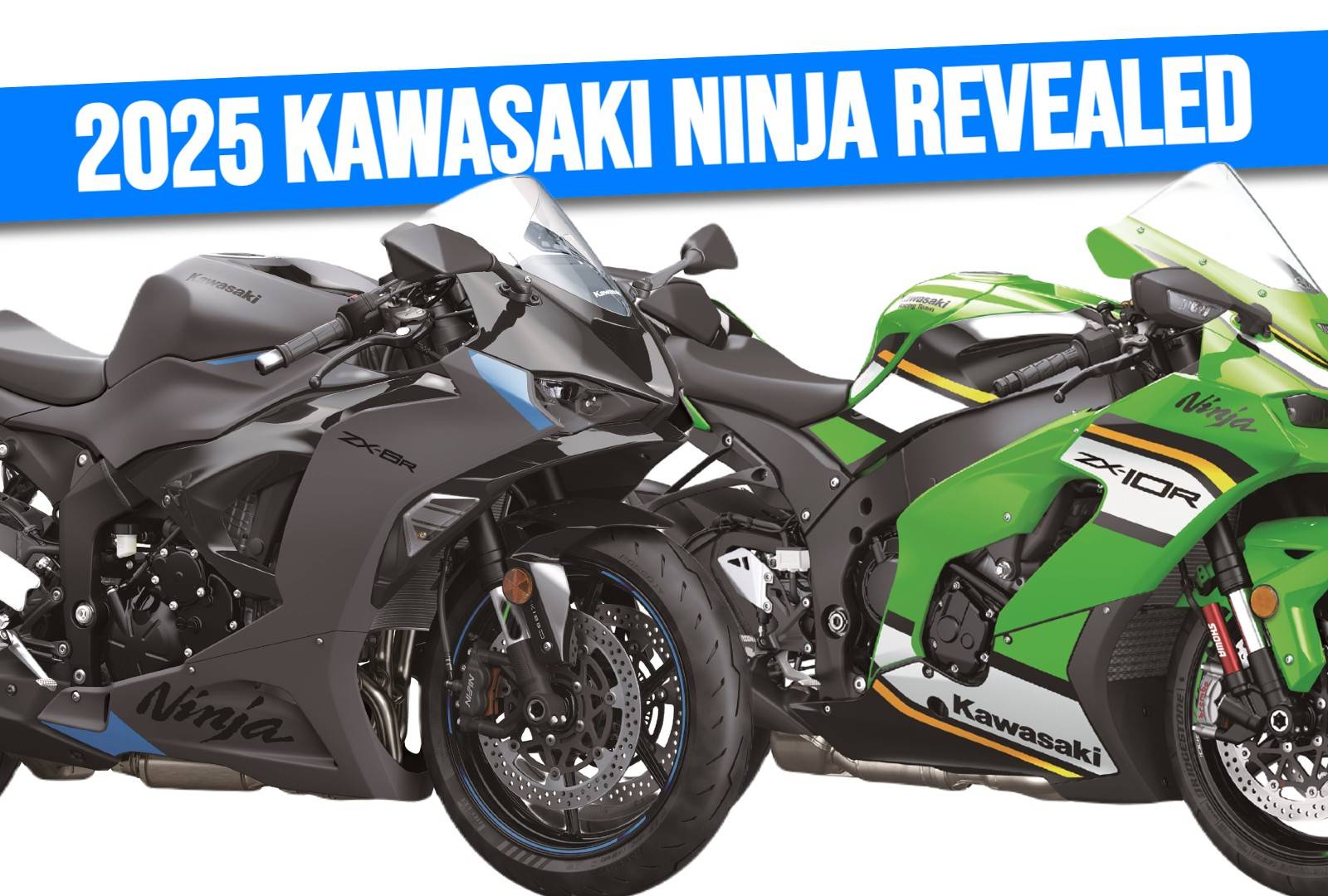 2025-kawasaki-ninja-hero.jpg?w 