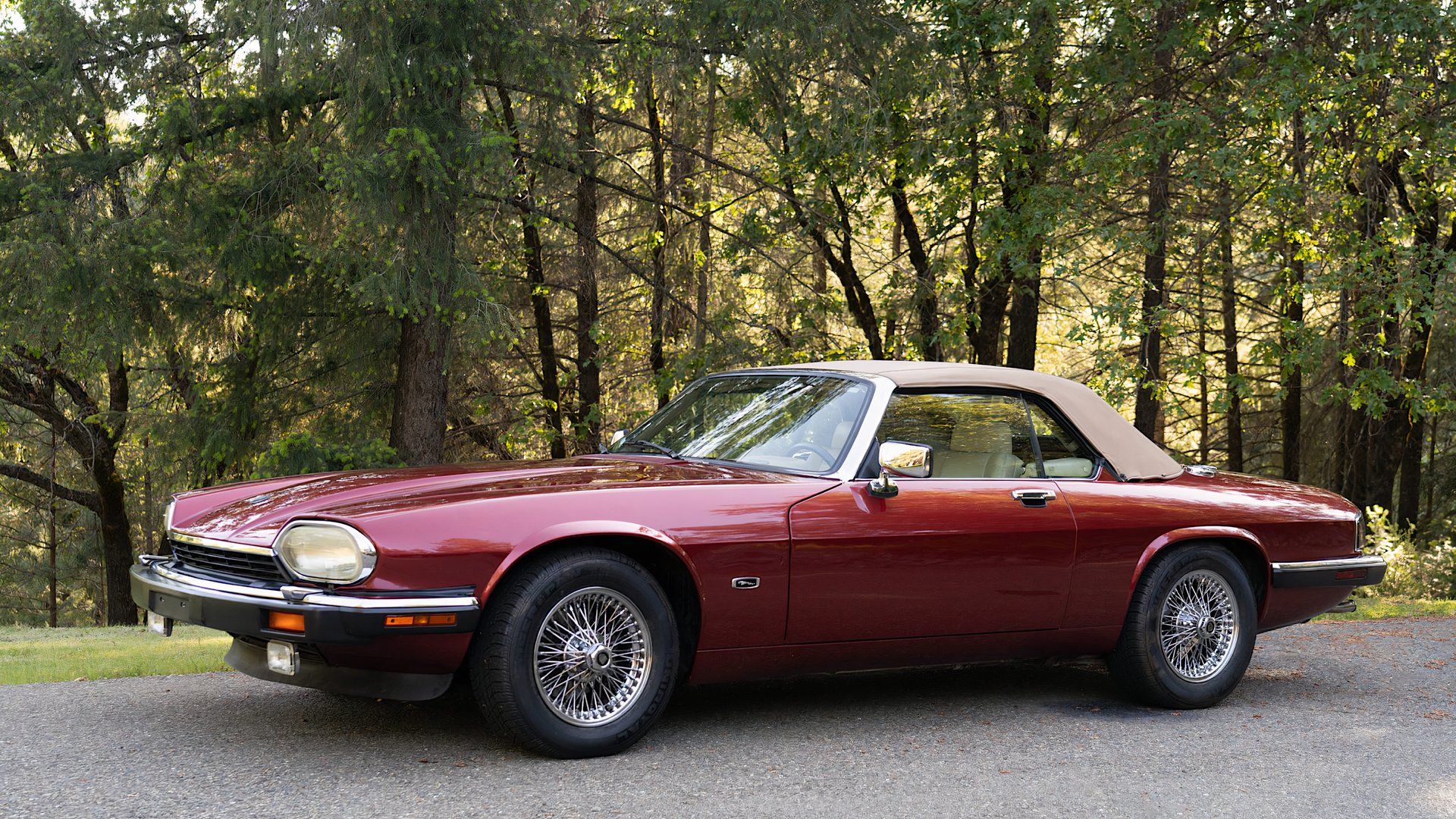 1992 Jaguar XJS Convertible V12 In maroon Posing in woods