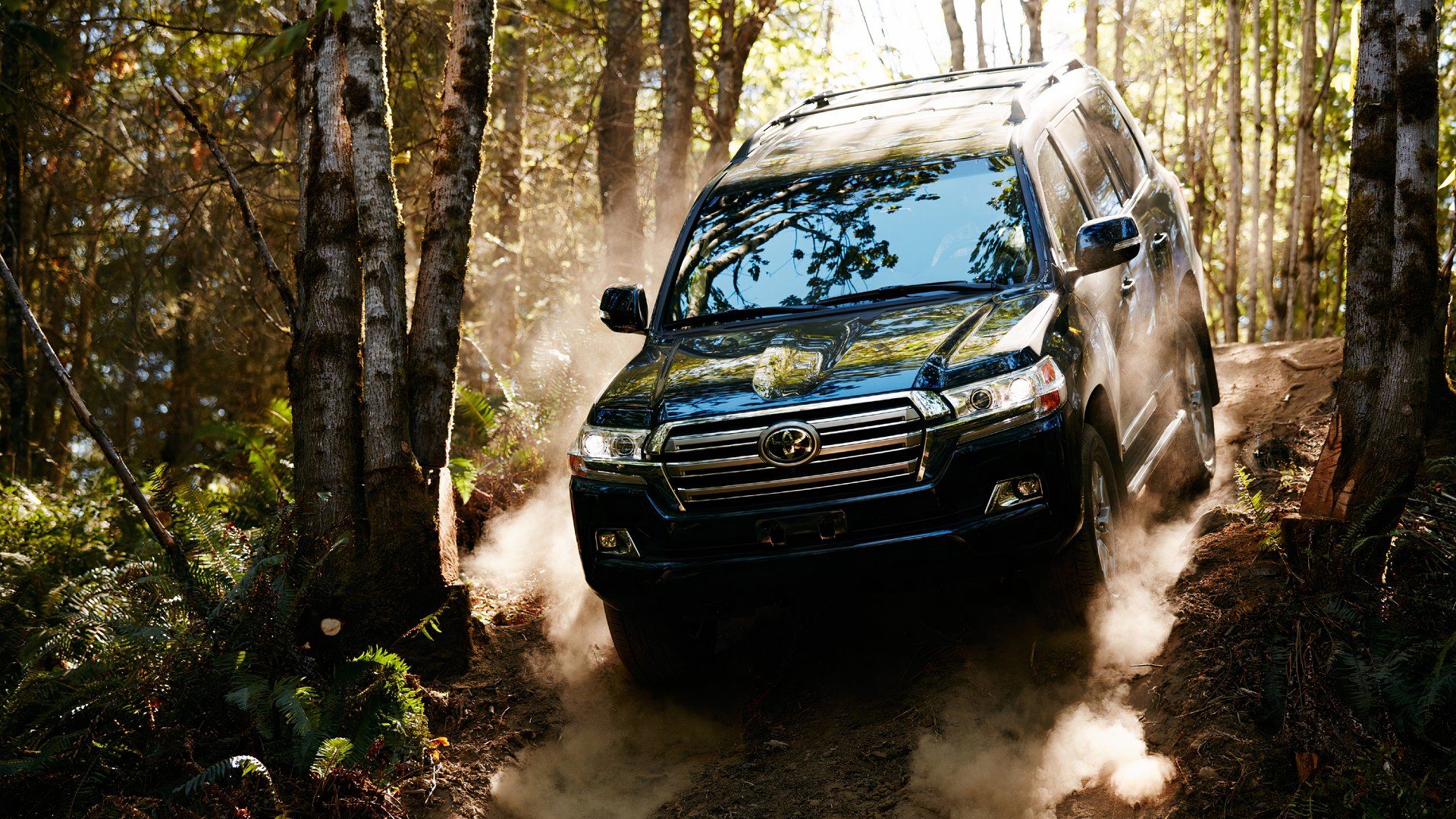 2020 Toyota Land Cruiser driving on a forest road