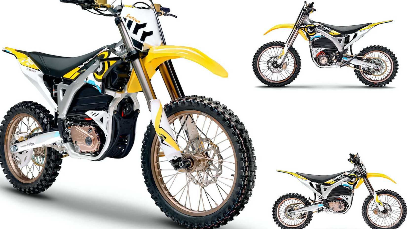 Storm Bee studio shot