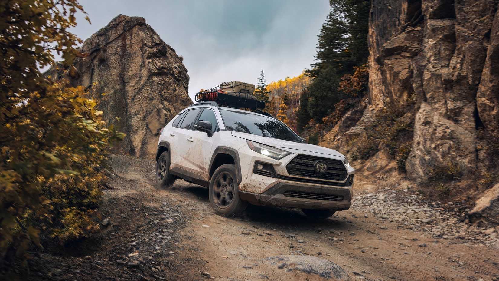 2024 Toyota RAV4 driving down