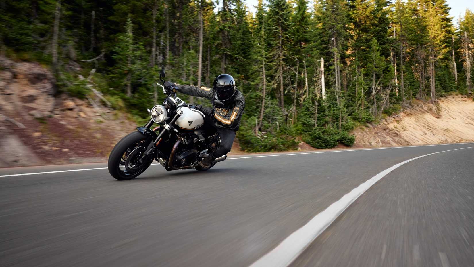 2025 Triumph Speed ​​Twin 1200 leaning on a road passing through the forest