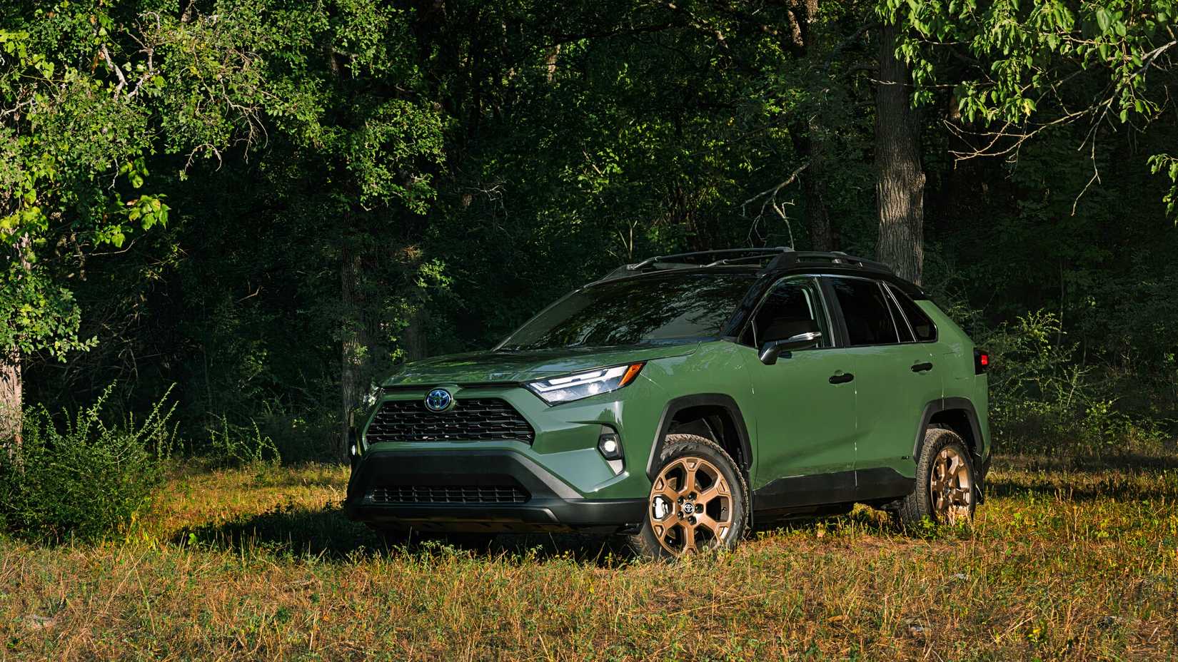 A green 2024 Toyota RAV4 Hybrid Woodland Edition is parked in the grass.
