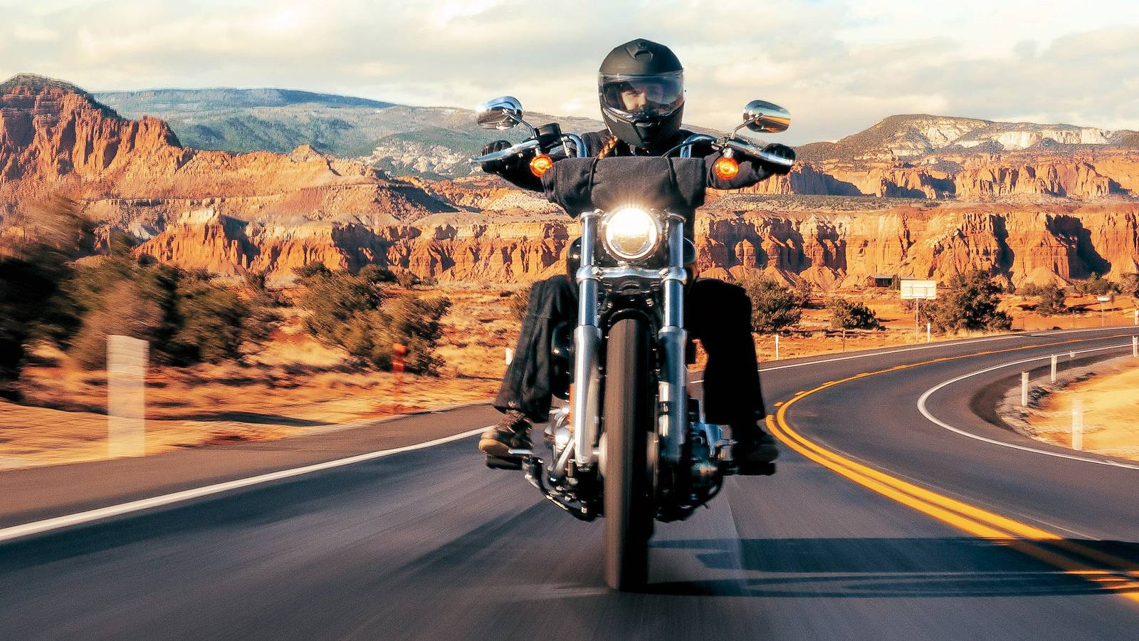 The Discontinued Harley-Davidson Cruiser Bike We Miss The Most