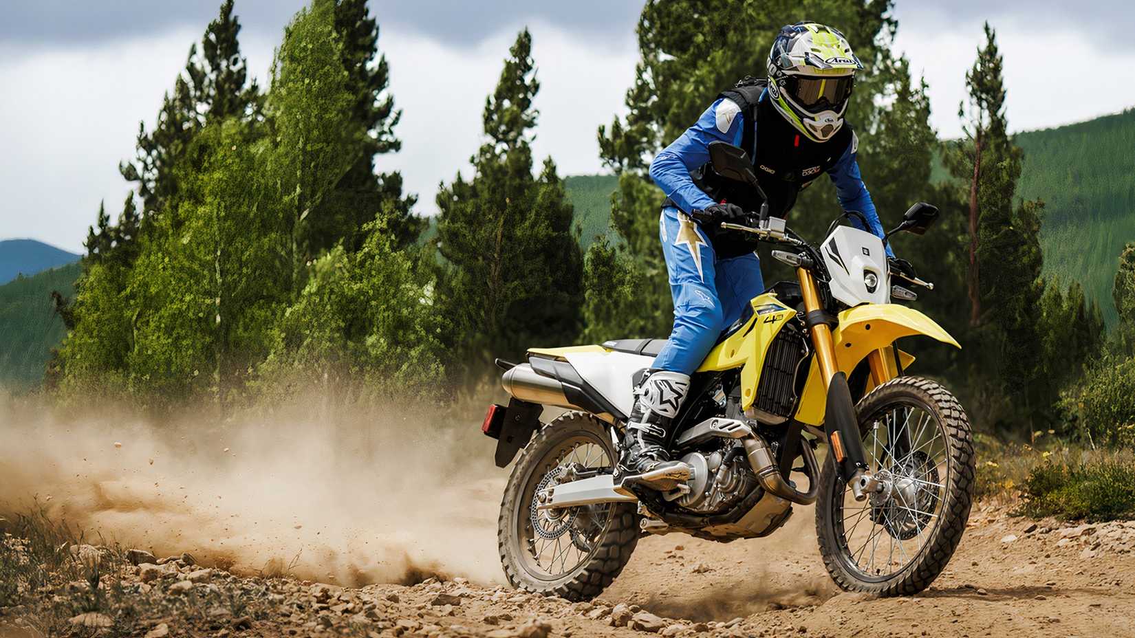 Suzuki DR-Z4S