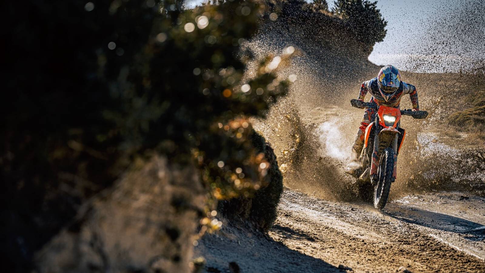 The KTM 390 Enduro R Is The Best Middleweight Dual-Sport For Riders Who ...