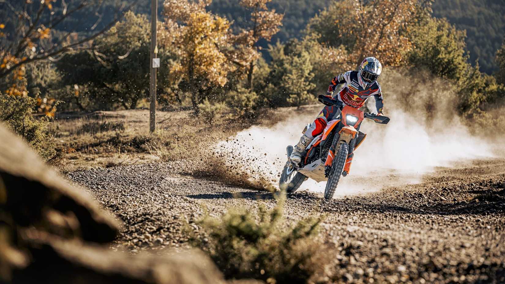 2025 KTM 390 Enduro R