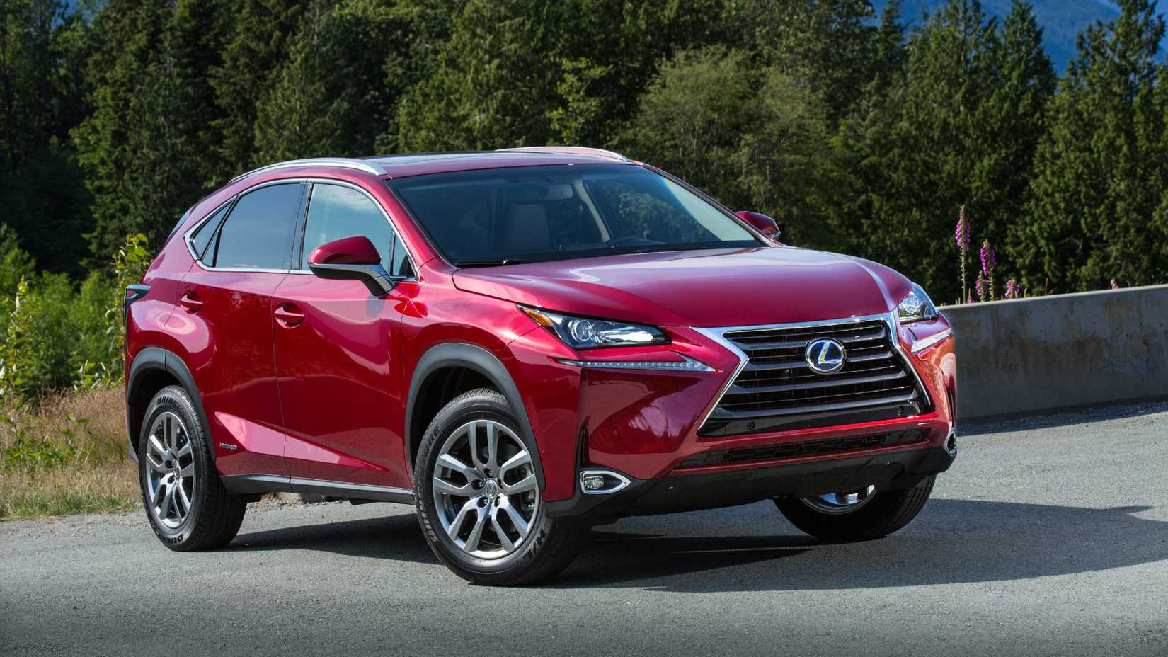 2020 Lexus NX 300h Parked Front Exterior Next To Forest
