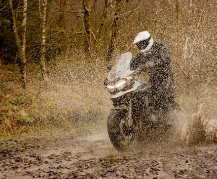 Tiger-1200-Desert-Edition