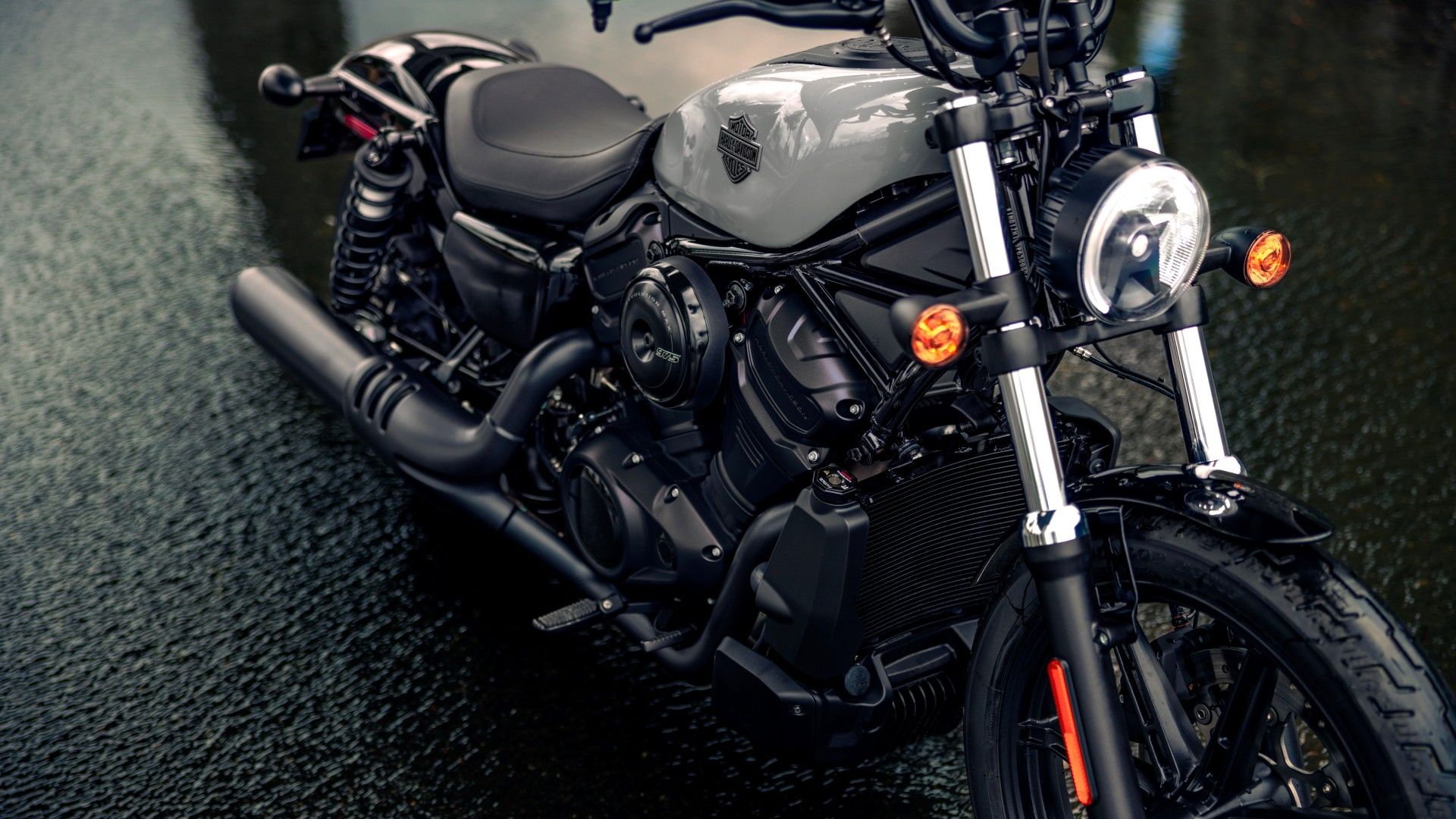 2025 Harley-Davidson Nightster Close Up