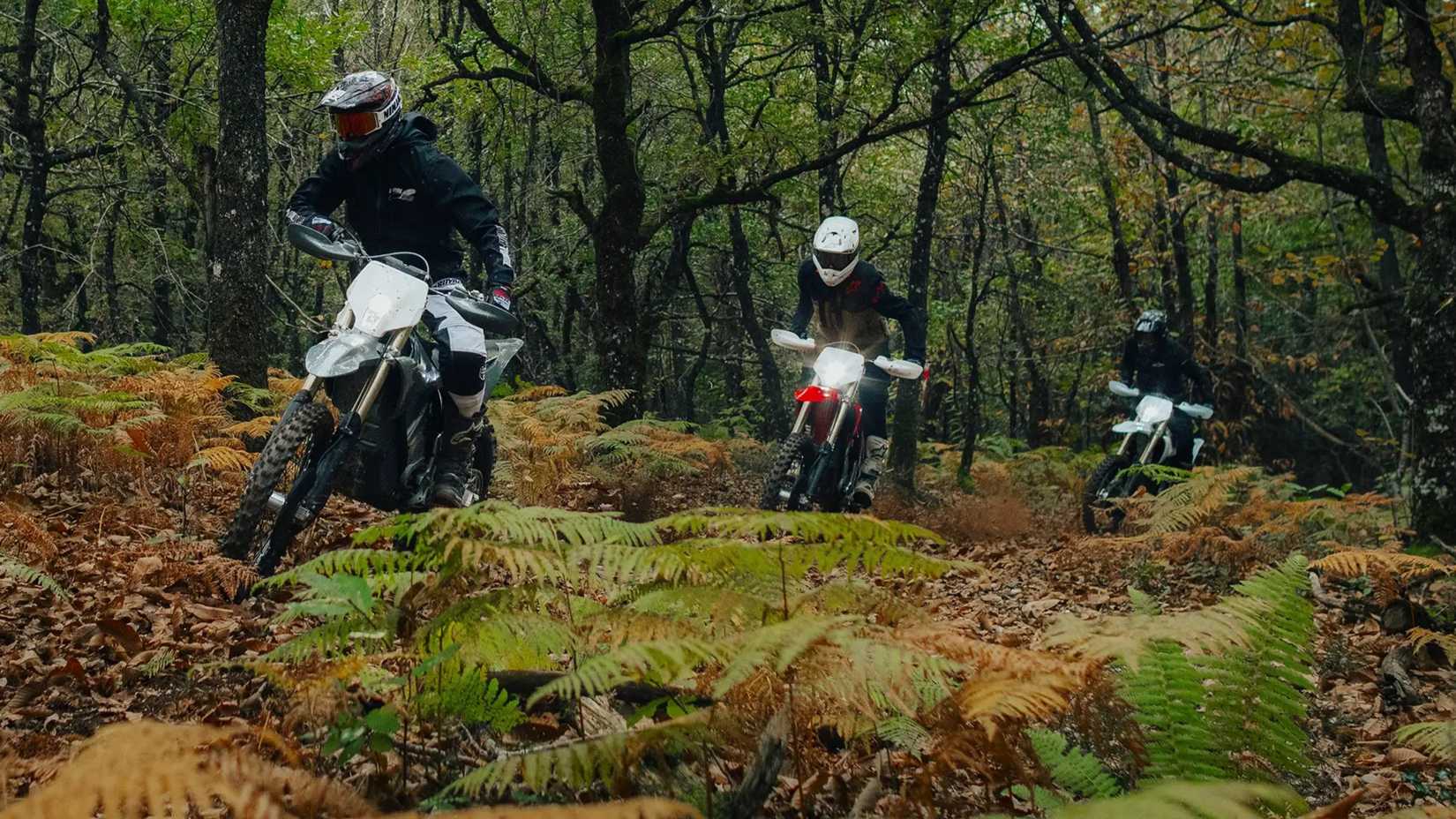 2025 Stark Varg EX In The Trails