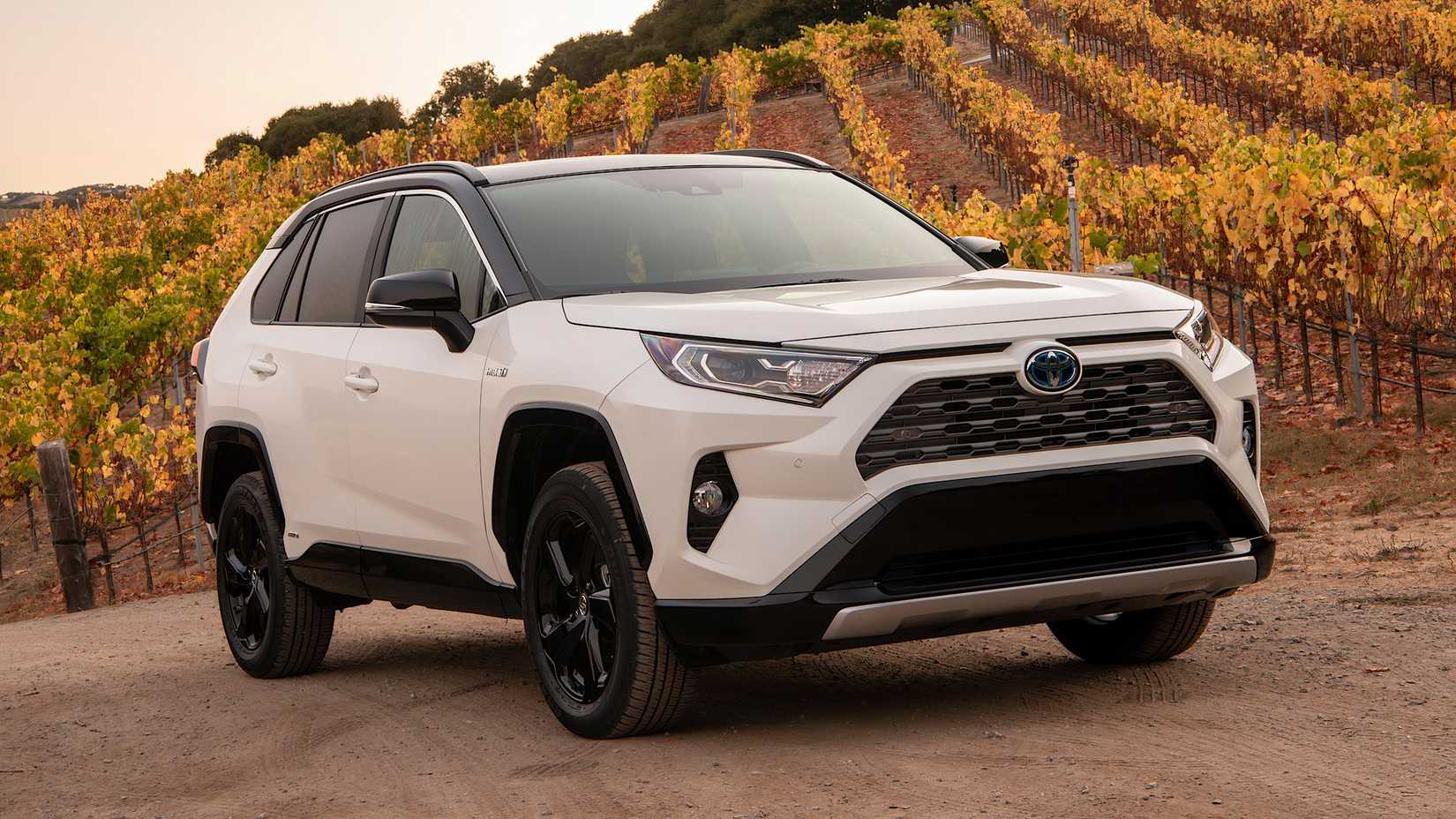 2020 Toyota RAV Hybrid in white parked in front of vineyard